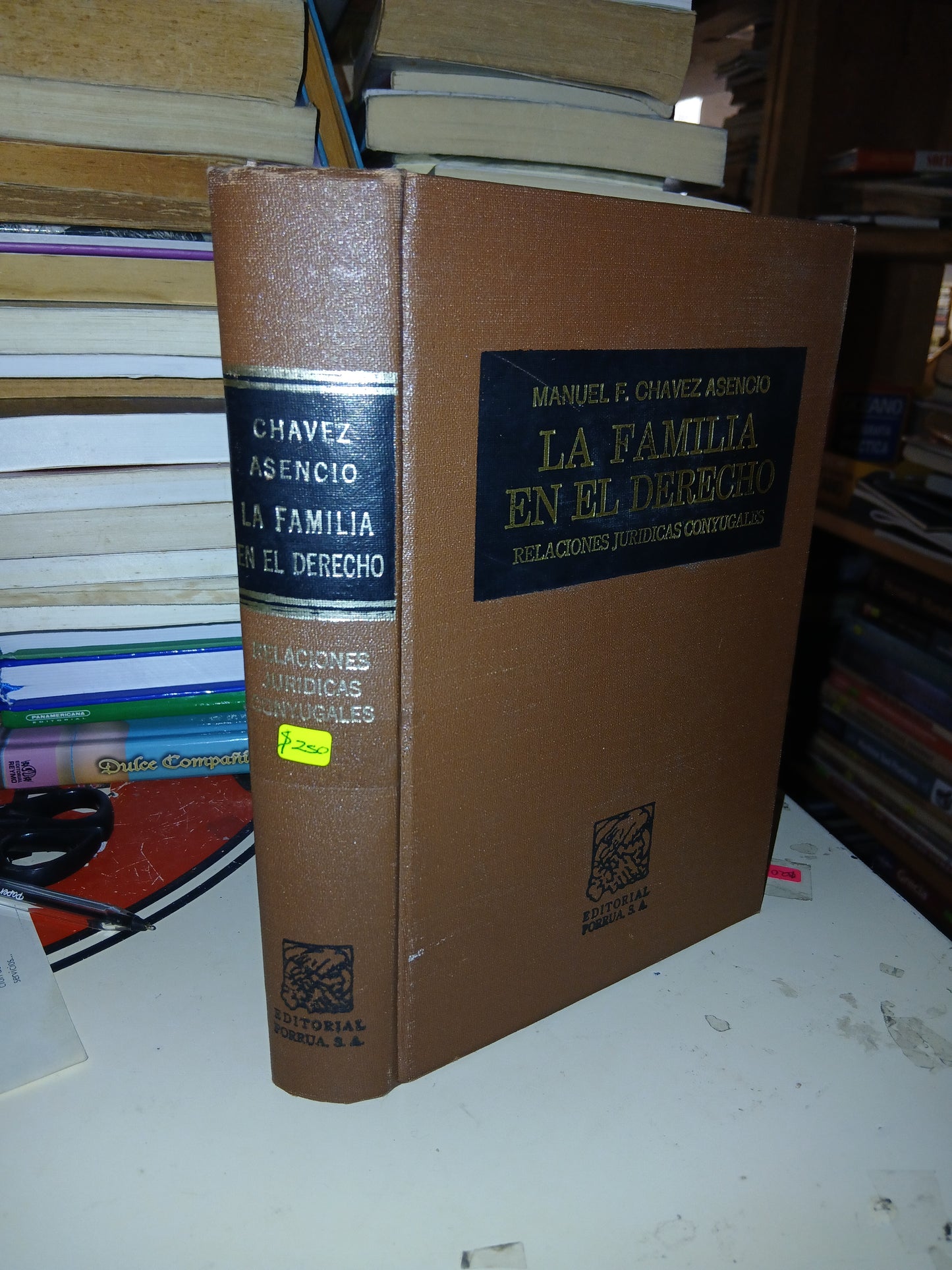 LA FAMILIA EN EL DERECHO: RELACIONES JURÍDICAS CONYUGALES POR MANUEL F. CHÁVEZ ASENCIO USADO DERECHO LITERARIO 207