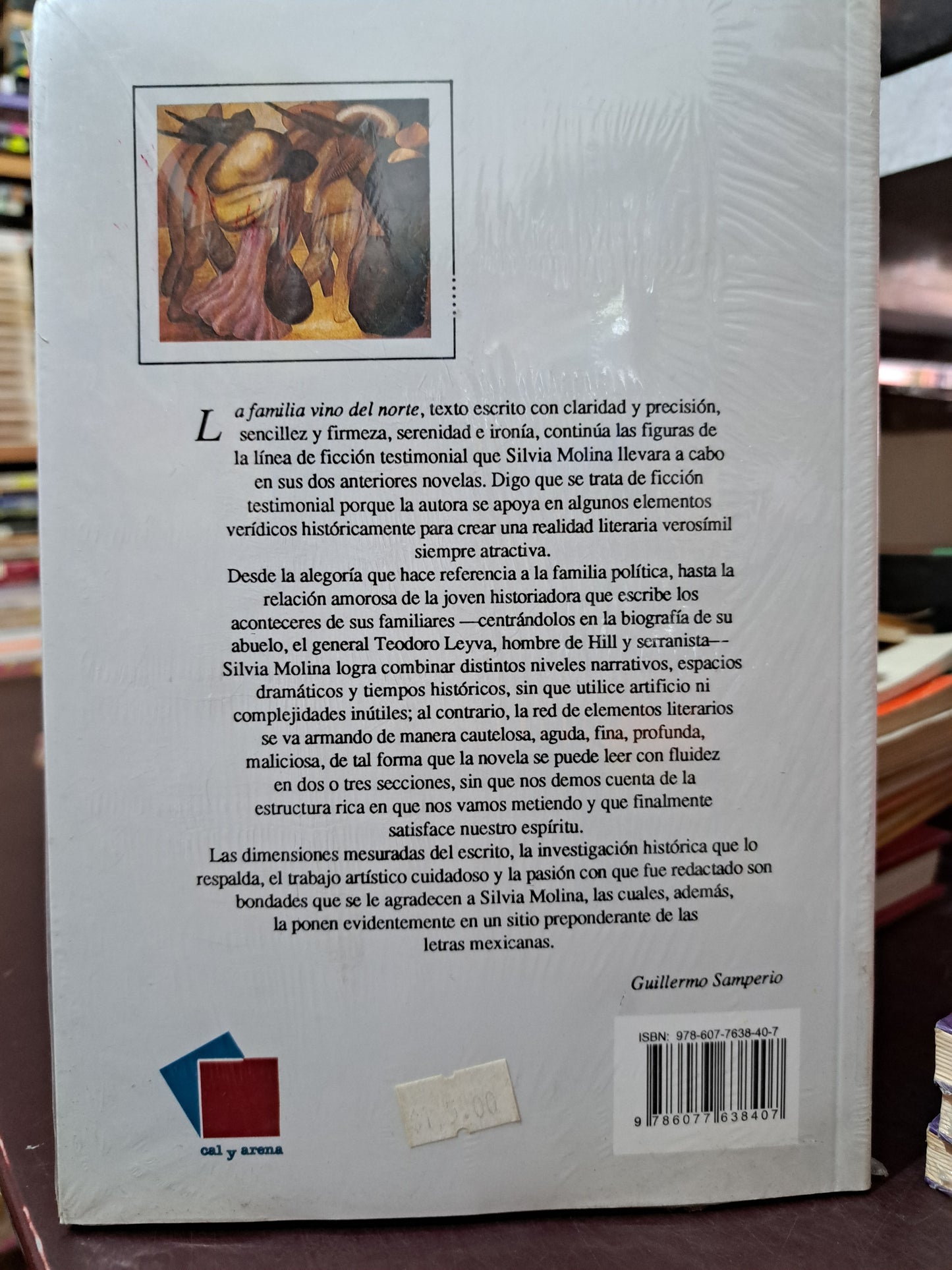 LA FAMILIA VINO DEL NORTE SILVIA MOLINA NUEVO LIBROS NUEVOS LITERARIO 305