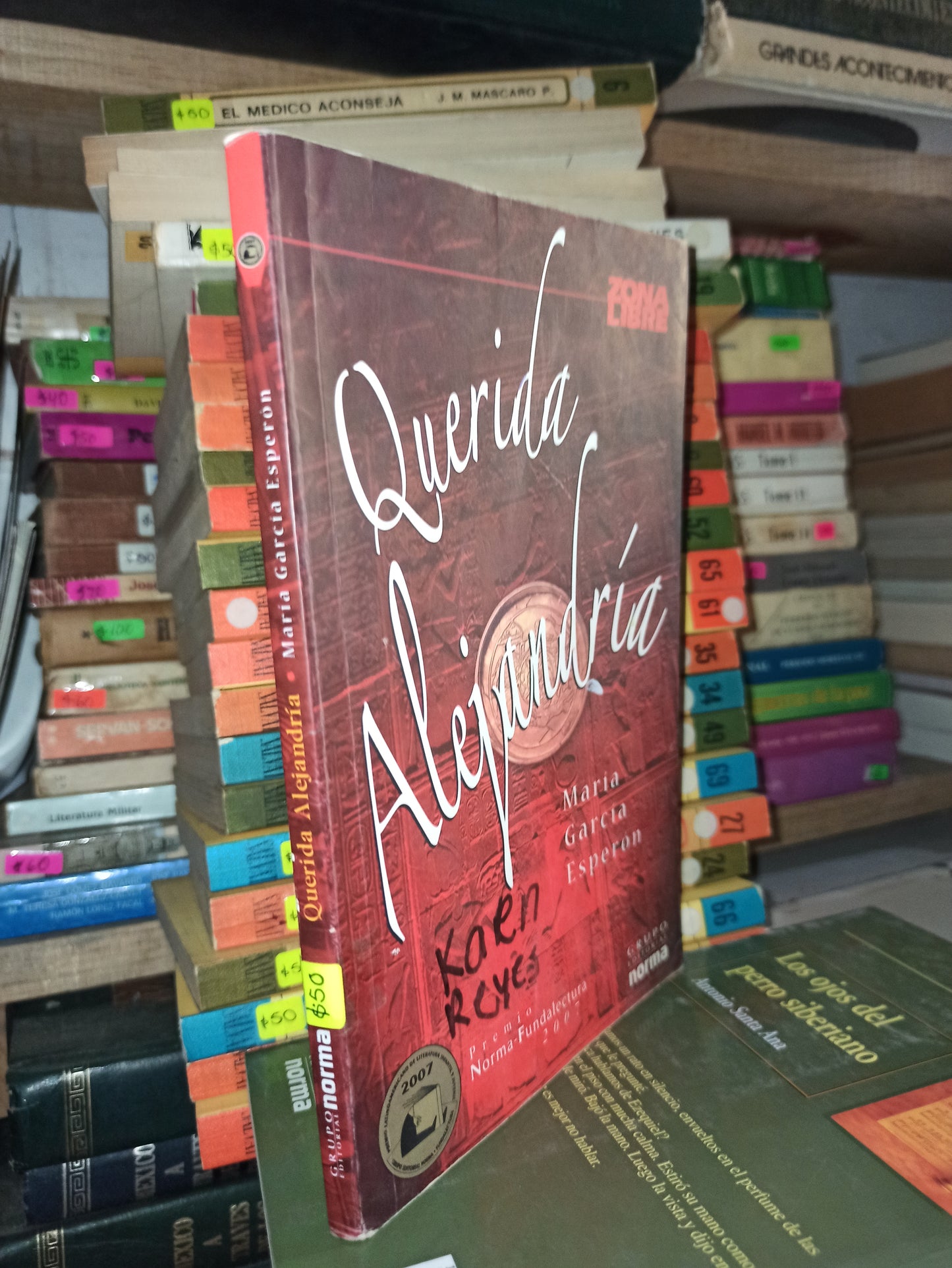 QUERIDA ALEJANDRIA POR MARÍA GARCIA ESPERON USADO NOVELAS LITERARIO 207
