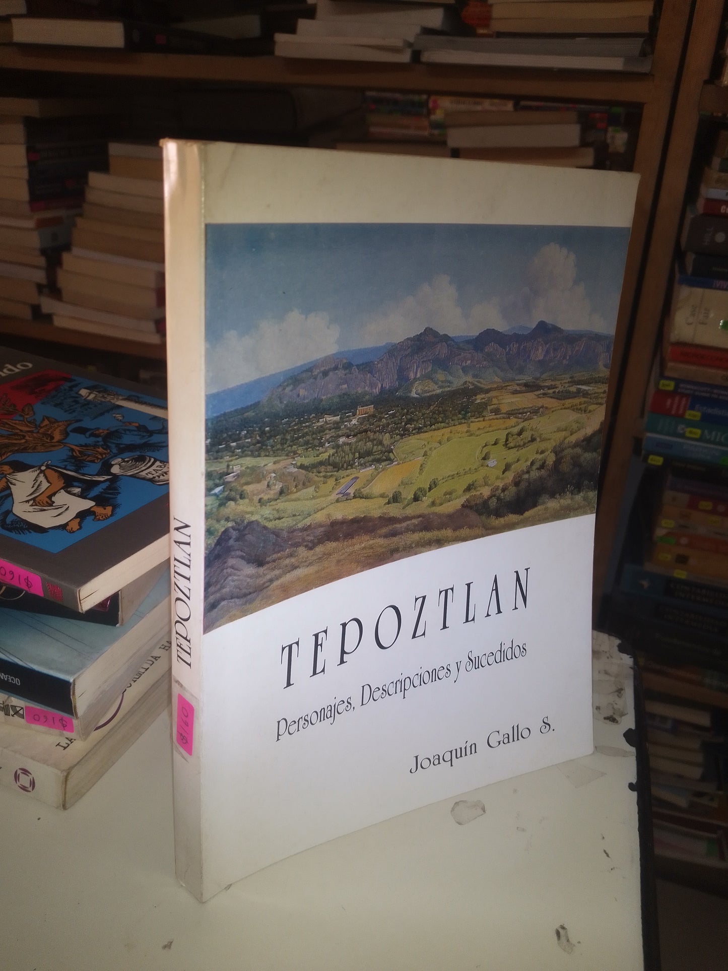 TEPOZTLÁN: PERSONAJES, DESCRIPCIONES Y SUCEDIDOS POR JOAQUÍN GALLO S. USADO HISTORIA LITERARIO 207