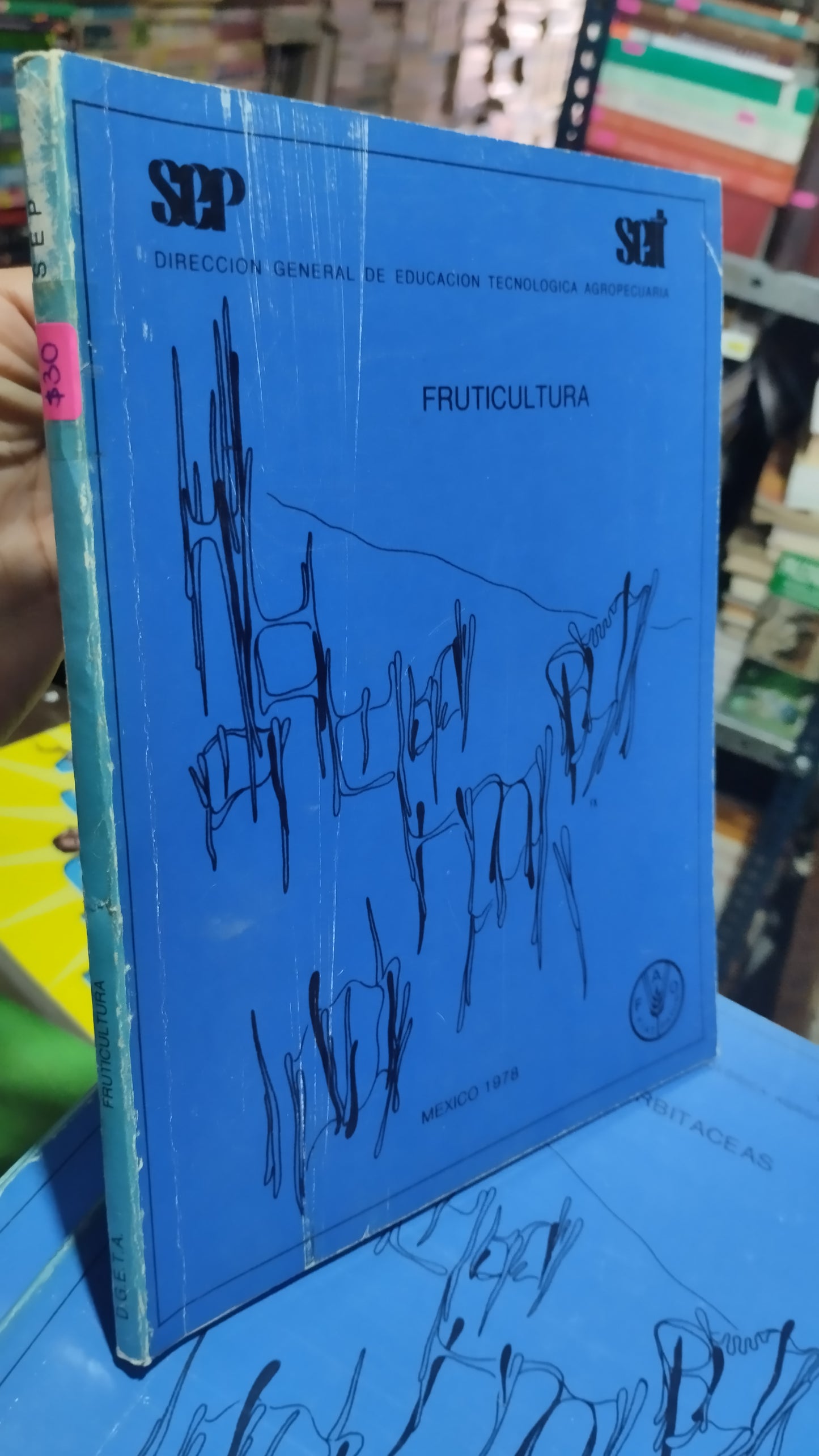 FRUTICULTURA POR LA SEP LIBRO USADO AGRICULTURA ALDAMA
