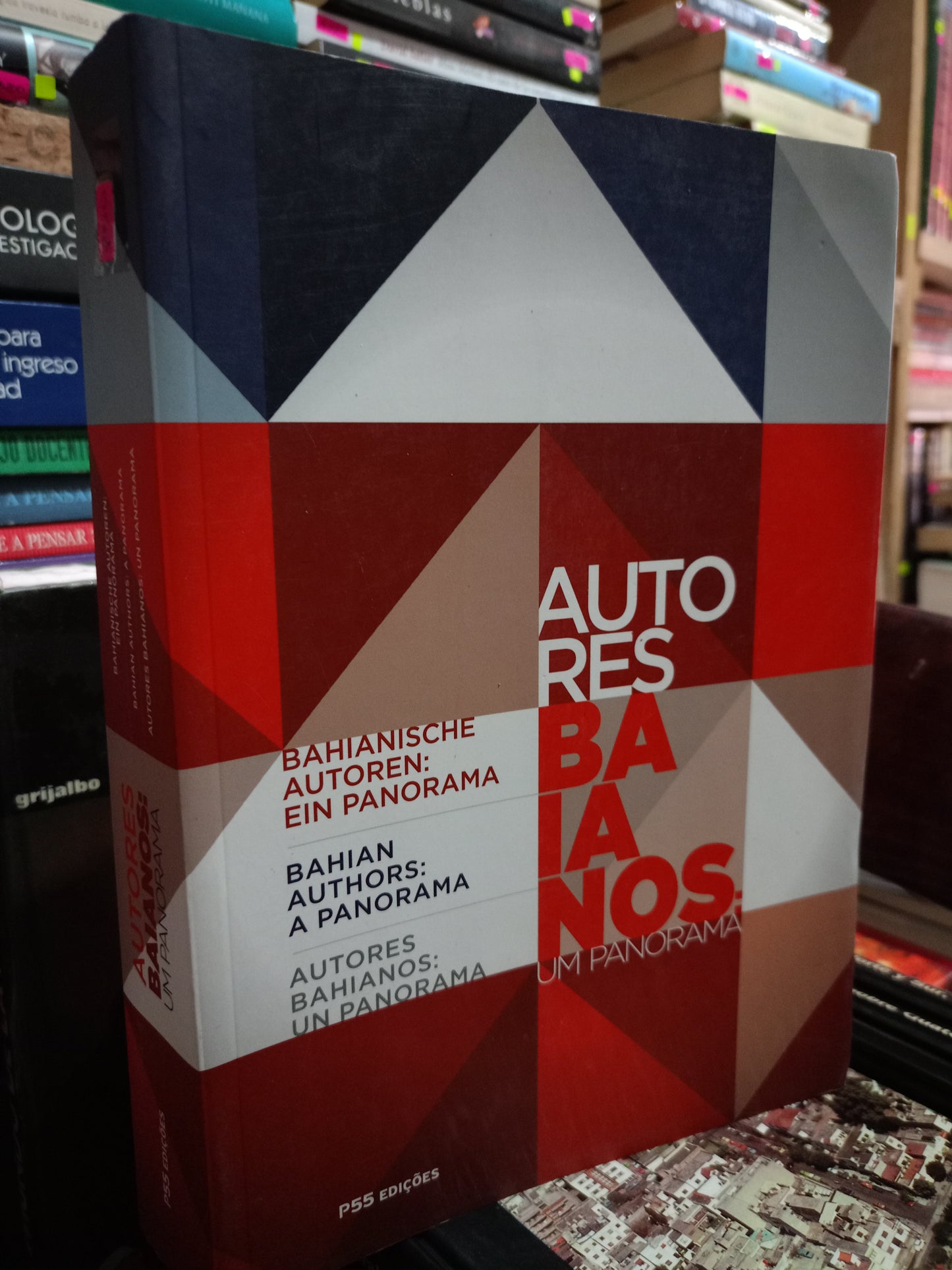 AUTORES BAINOS UM PANORAMA USADO IDIOMAS LITERARIO 305