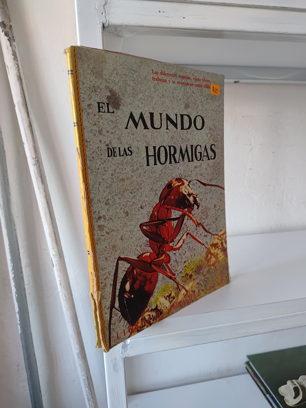 EL MUNDO DE LAS HORMIGAS POR EDITORIAL LIBROS DE ORO USADO BIOLOGIA JUAREZ 515