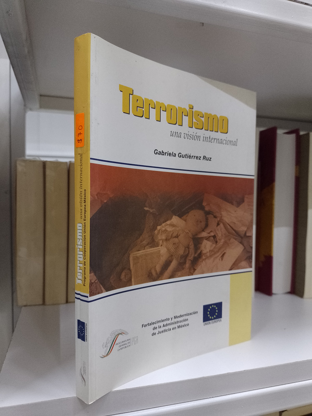 TERRORISMO UNA VISION INTERNACIONAL POR GABRIELA GUTIERREZ RUIZ USADO NOVELA JUAREZ 515