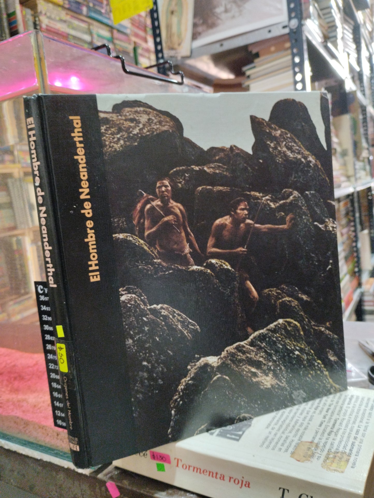 EL HOMBRE DE NEANDERTHAL USADO HISTORIA ALDAMA