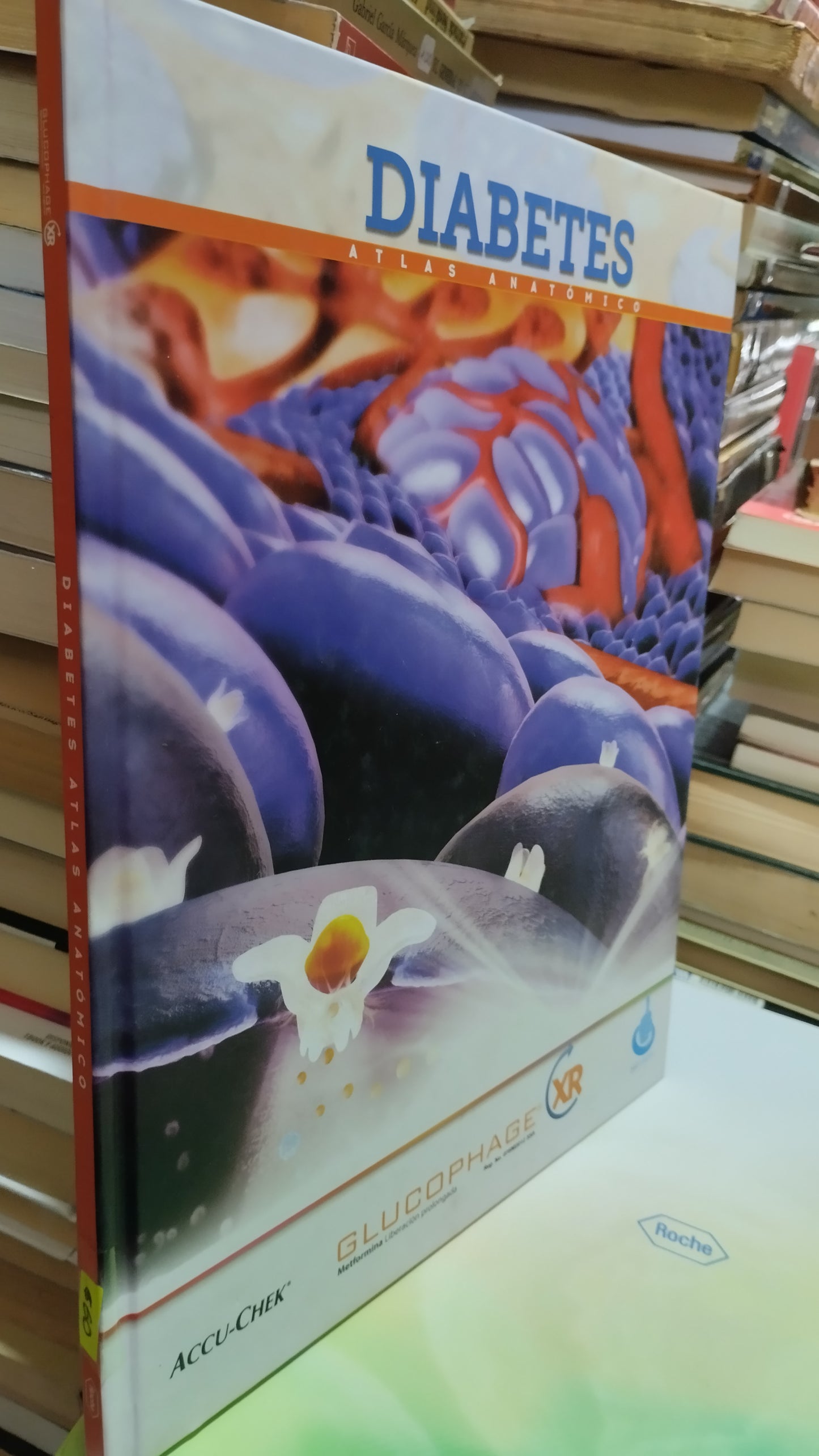 DIABETES ATLAS ANATOMICO LIBRO USADO SALUD ALDAMA