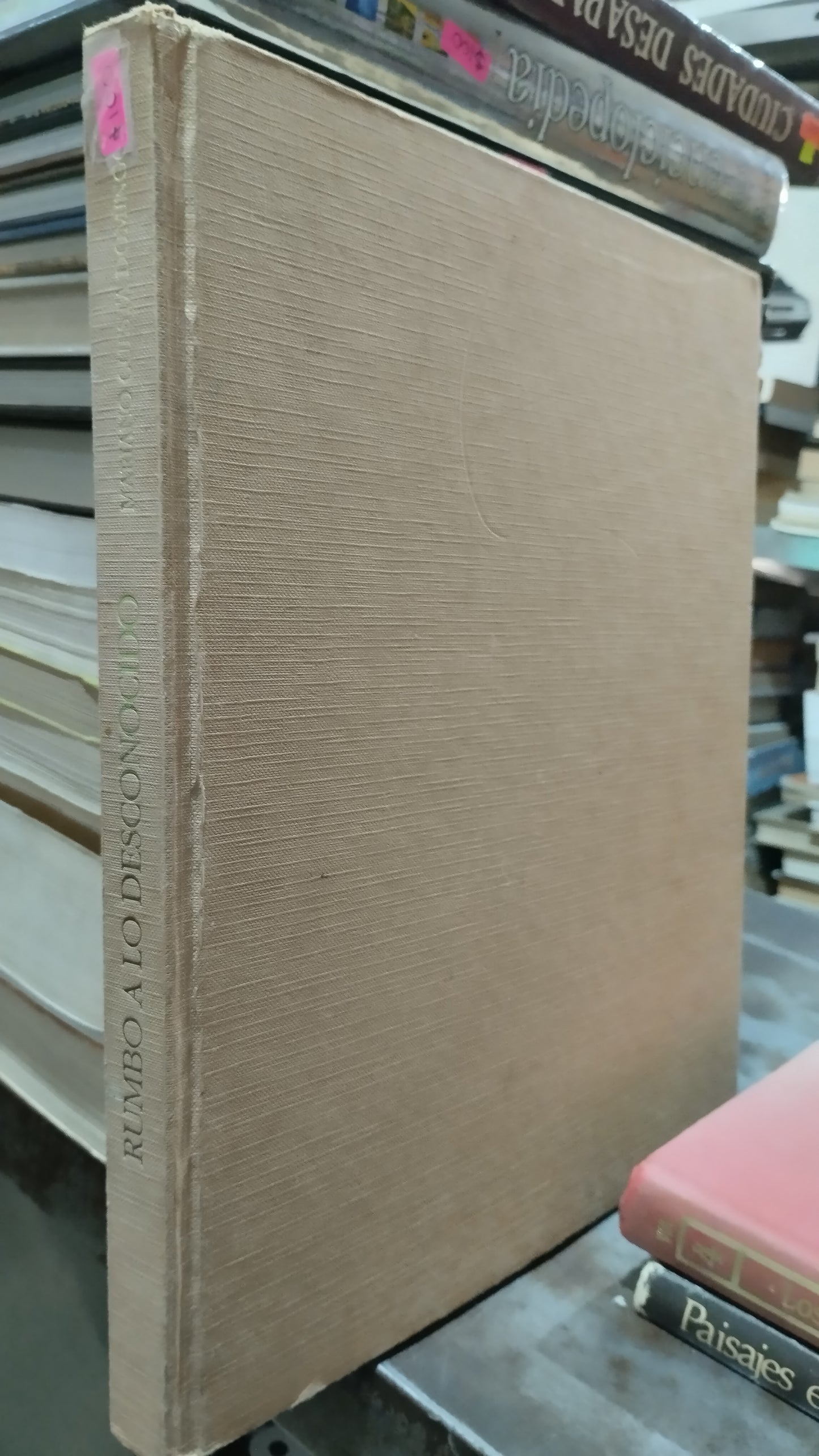RUMBO A LO DESCONOCIDO POR MARIANO CUESTA DOMINGO LIBRO USADO HISTORIA ALDAMA