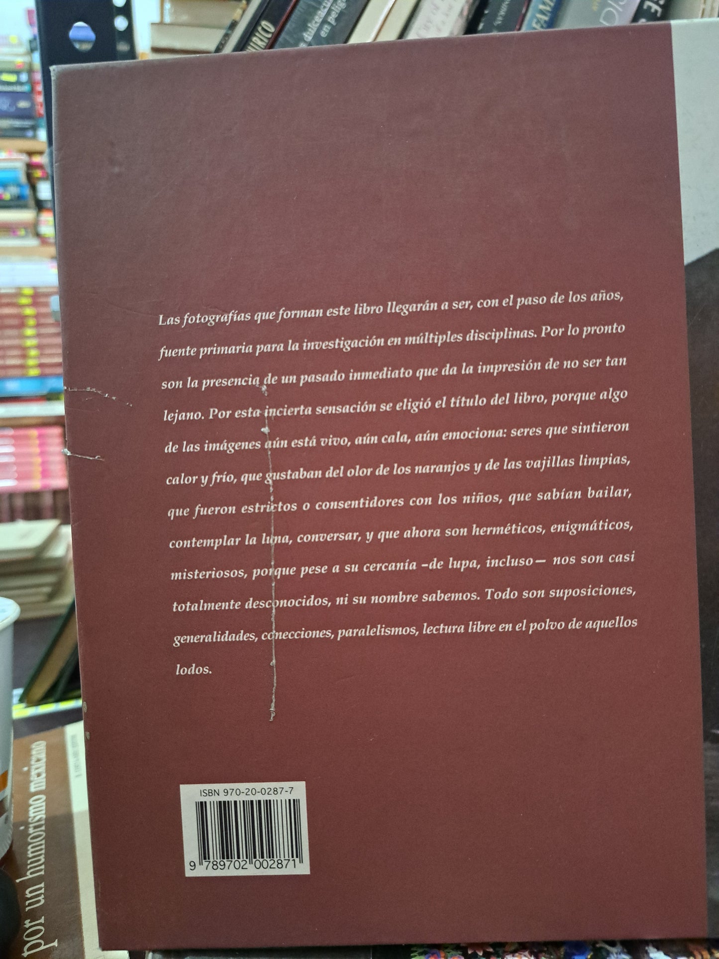 POLVO DE AQUELLOS LODOS RICARDO ELIZONDO ELIZONDO USADO HISTORIA LITERARIO 305