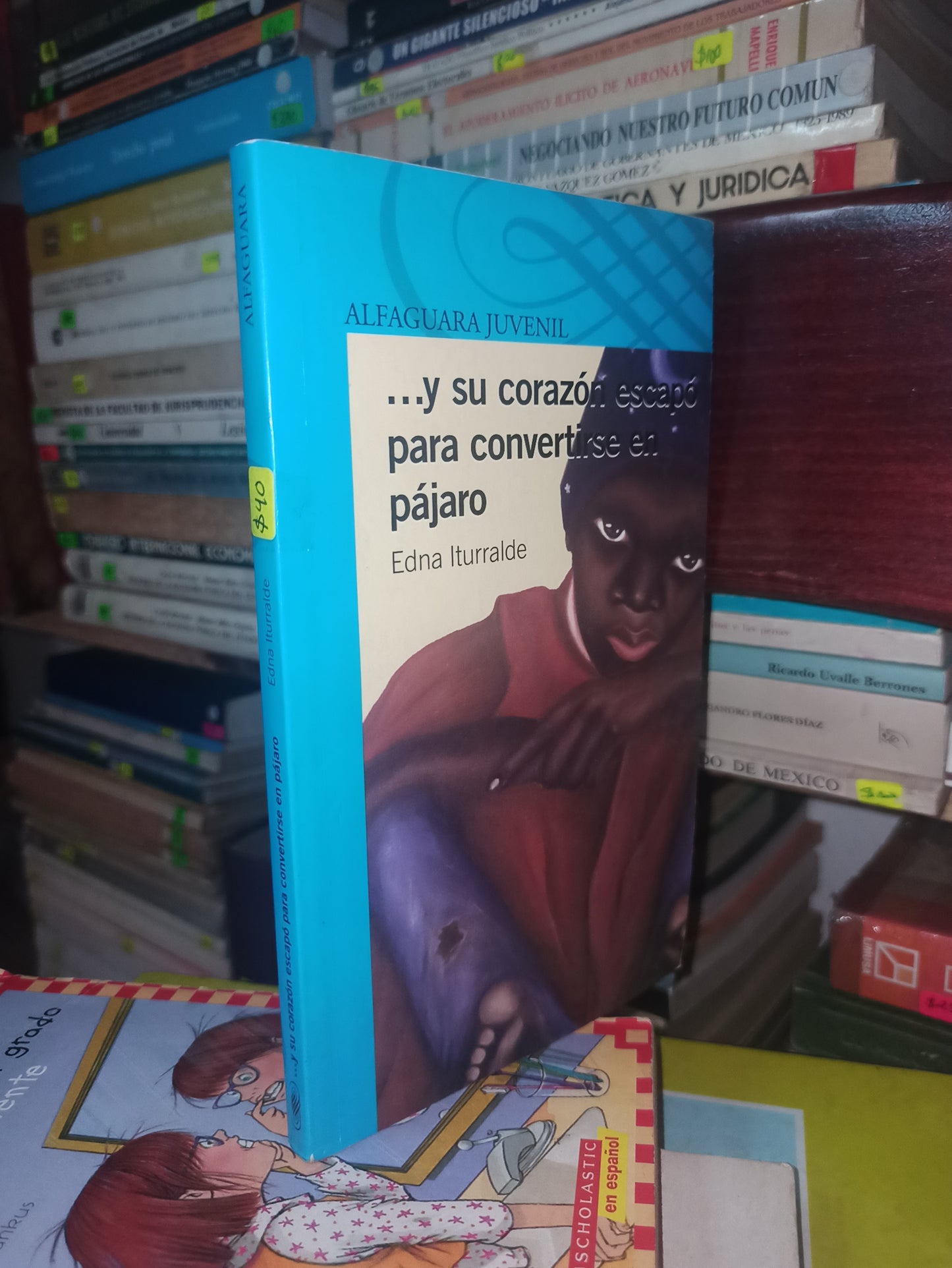 Y SU CORAZON ESCAPO PARA CONVERTIRSE EN PAJARO POR EDNA ITIRRALDE USADO INFANTILES LITERARIO 207