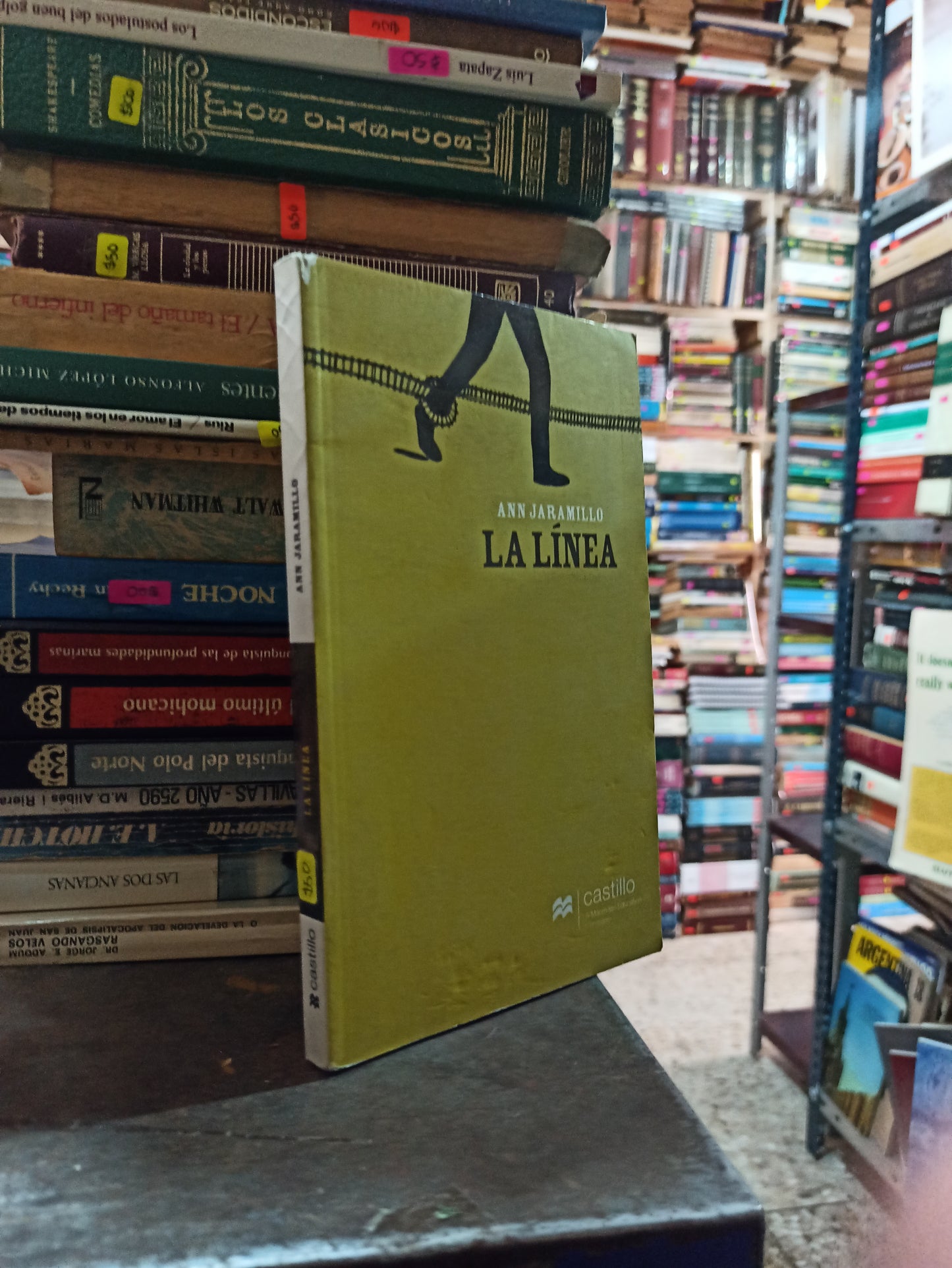 LA LINEA POR ANN JARAMILLO USADO NOVELAS ALDAMA