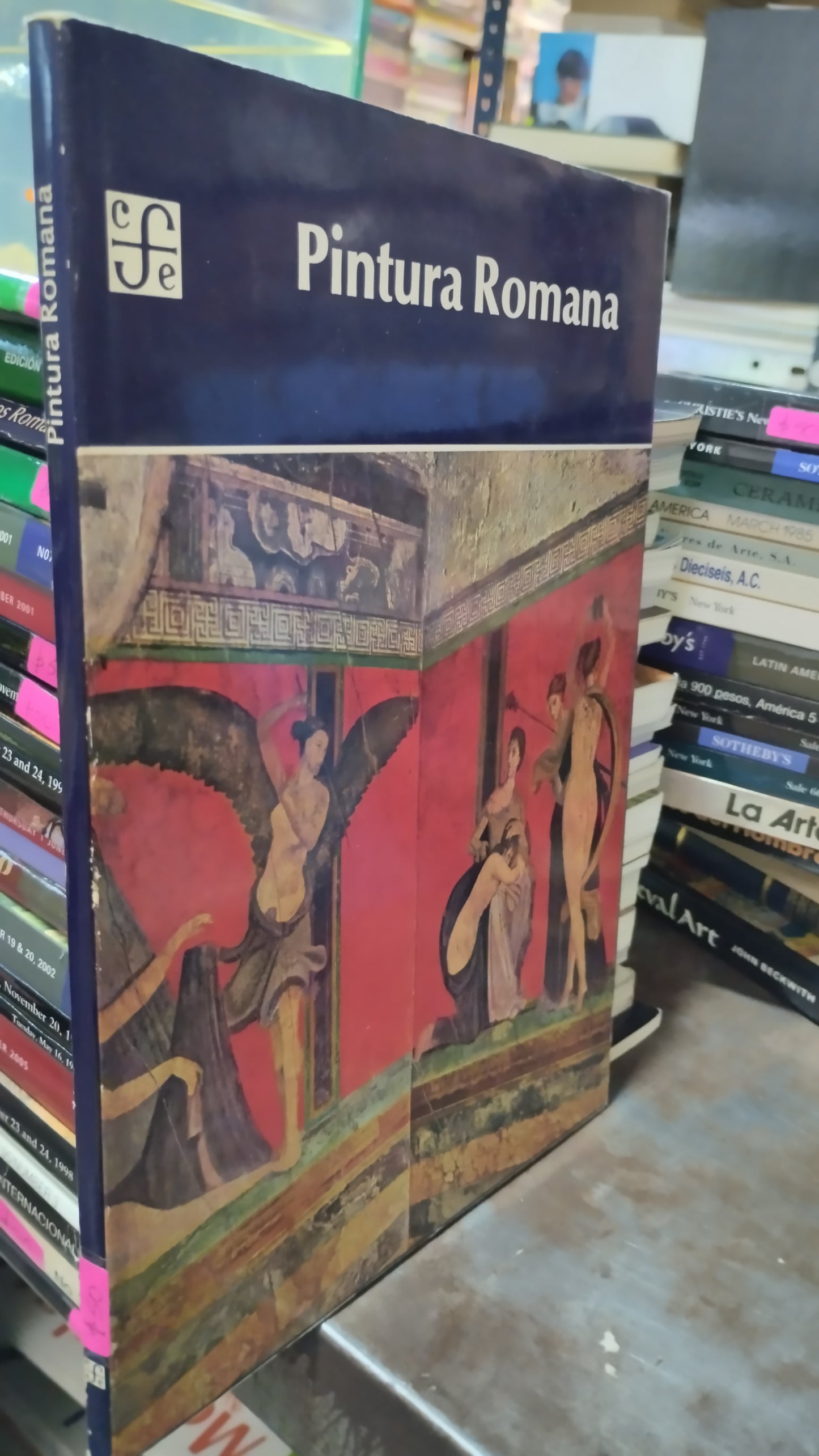 PINTURA ROMANA LIBRO USADO ARTE ALDAMA