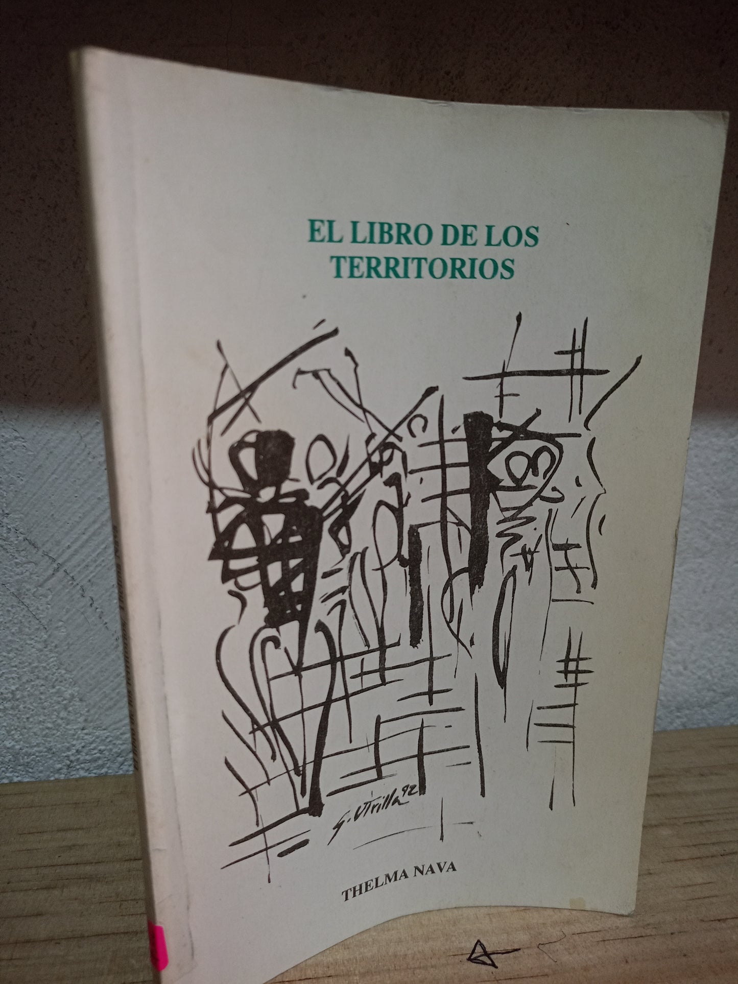 EL LIBRO DE LOS TERRITORIOS POR THELMA NAVA USADO POESIA LITERARIO 305