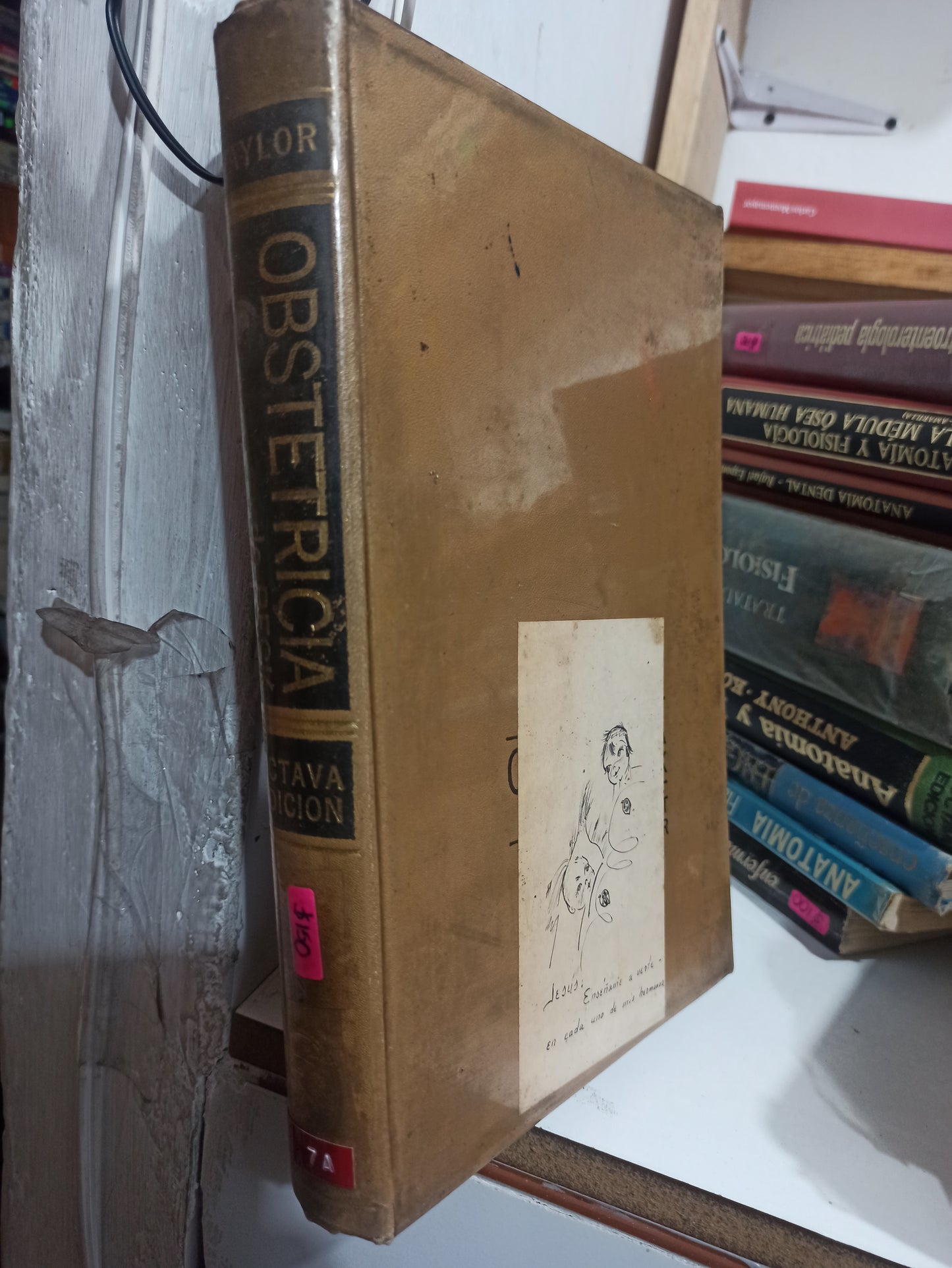 OBSTETRICIA DE BECK POR E. STEWART TAYLOR USADO SALUD JUÁREZ