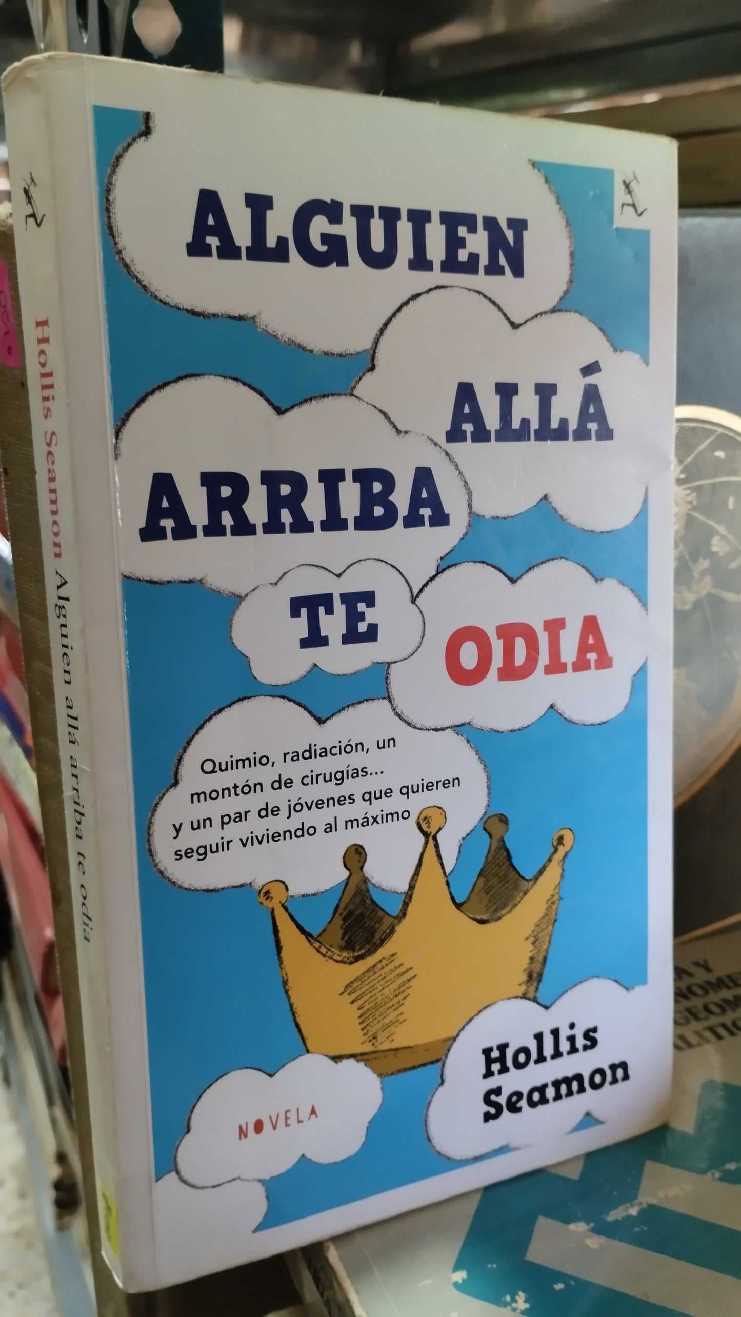 ALGUIEN ALLA ARRIBA TE ODIA POR HOLLIS SEAMON LIBRO USADO NOVELAS ALDAMA
