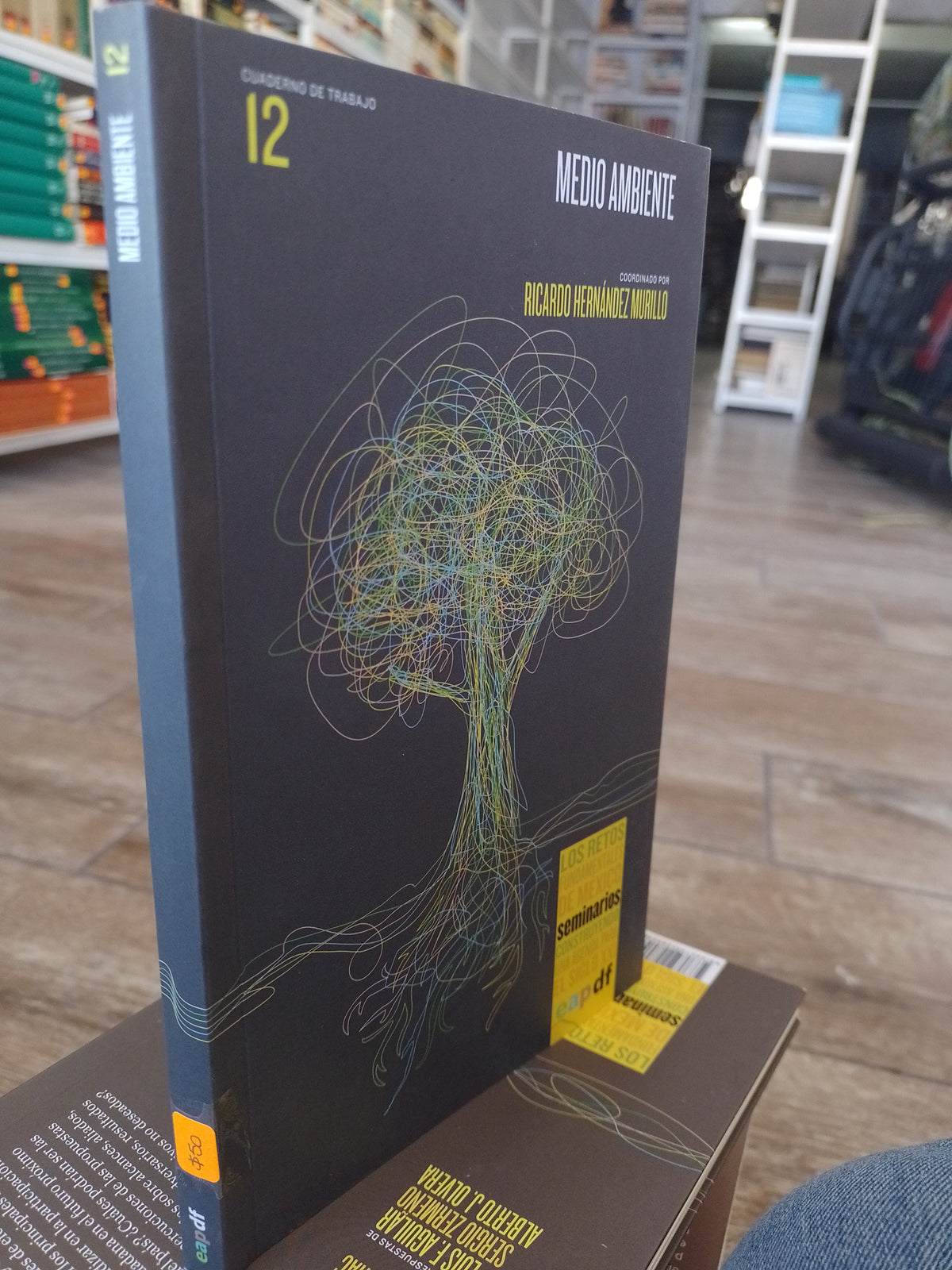 CUADERNO DE TRABAJO 12 MEDIO AMBIENTE POR RICARDO HERNANDEZ MURILLO USADO SOCIOLOGIA JUAREZ 515