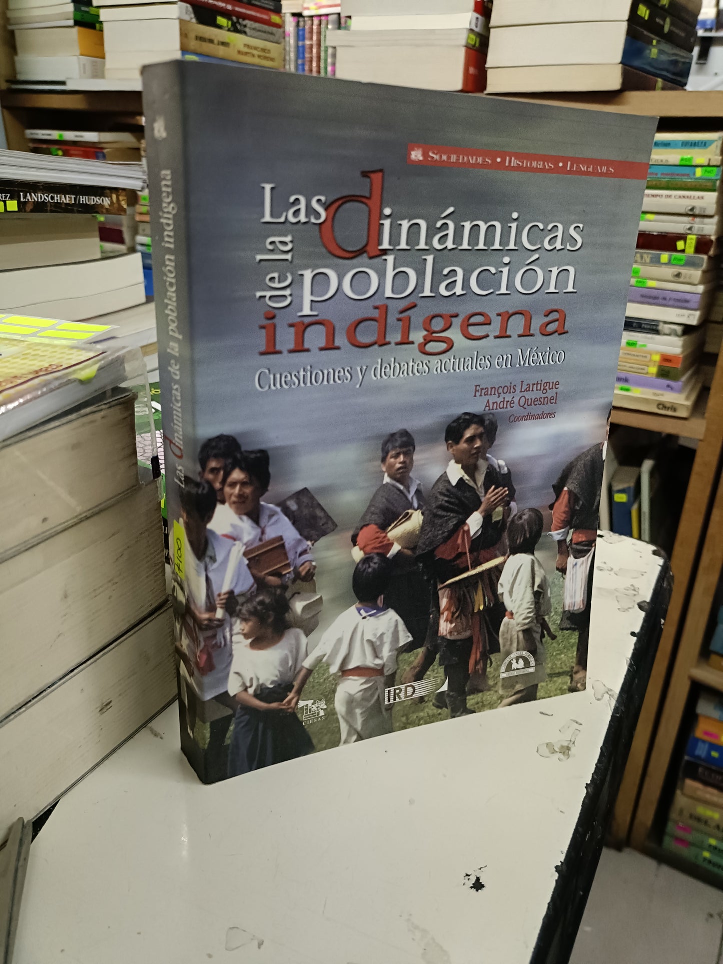 LAS DINÁMICAS DE LA POBLACIÓN INDIGENA COODINADO POR FRANCOIS LARTIGUE Y ANDRE QUESNEL USADO HISTORIA LITERARIO 207