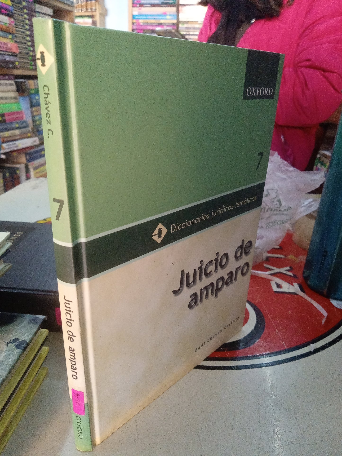 JUICIO DE AMPARO POR RAUL CHAVEZ CASTILLO USADO DERECHO LITERARIO 207