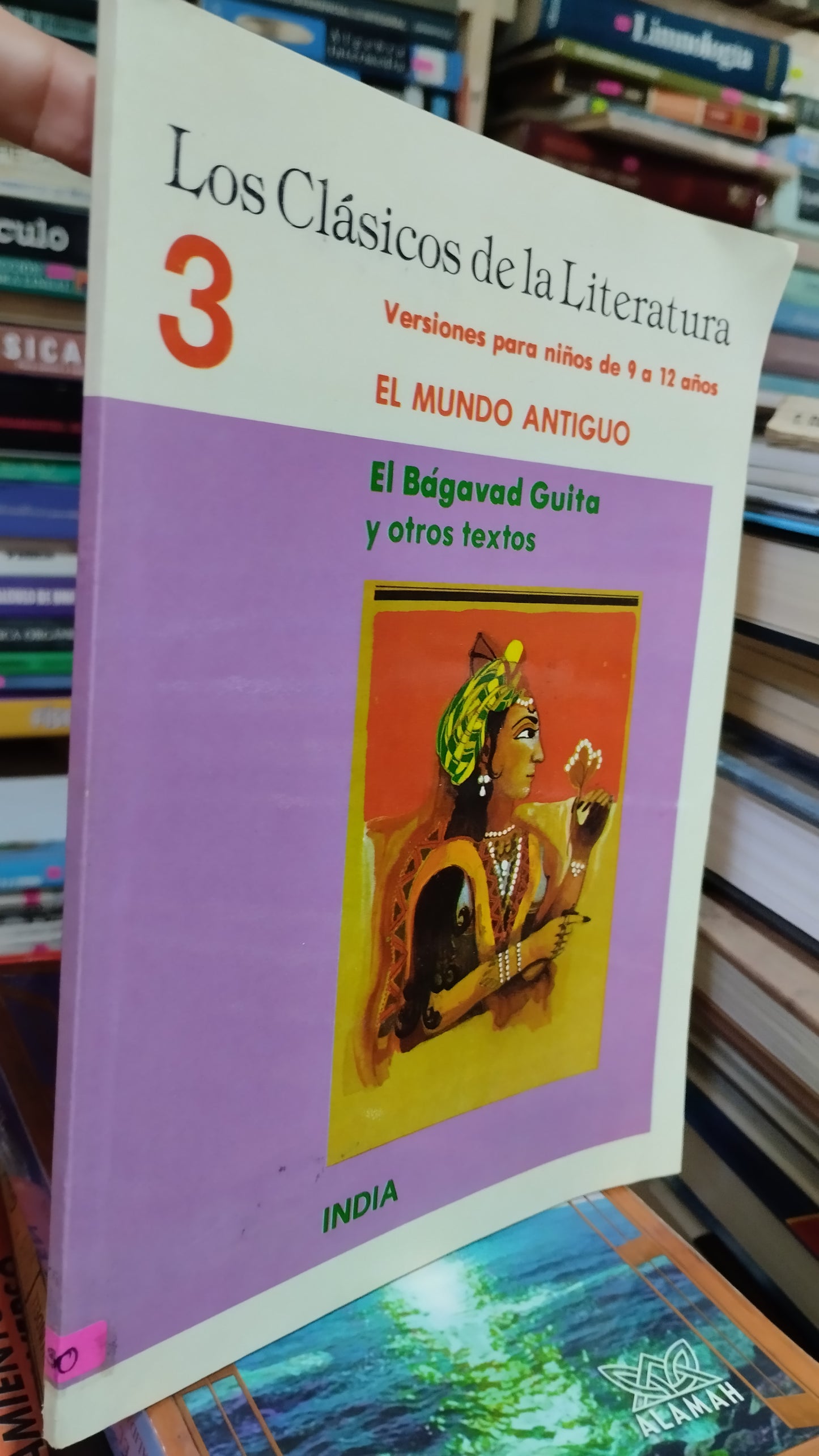 EL BAGAVAD GUITA Y OTROS TEXTOS LIBRO USADO INFANTIL ALDAMA