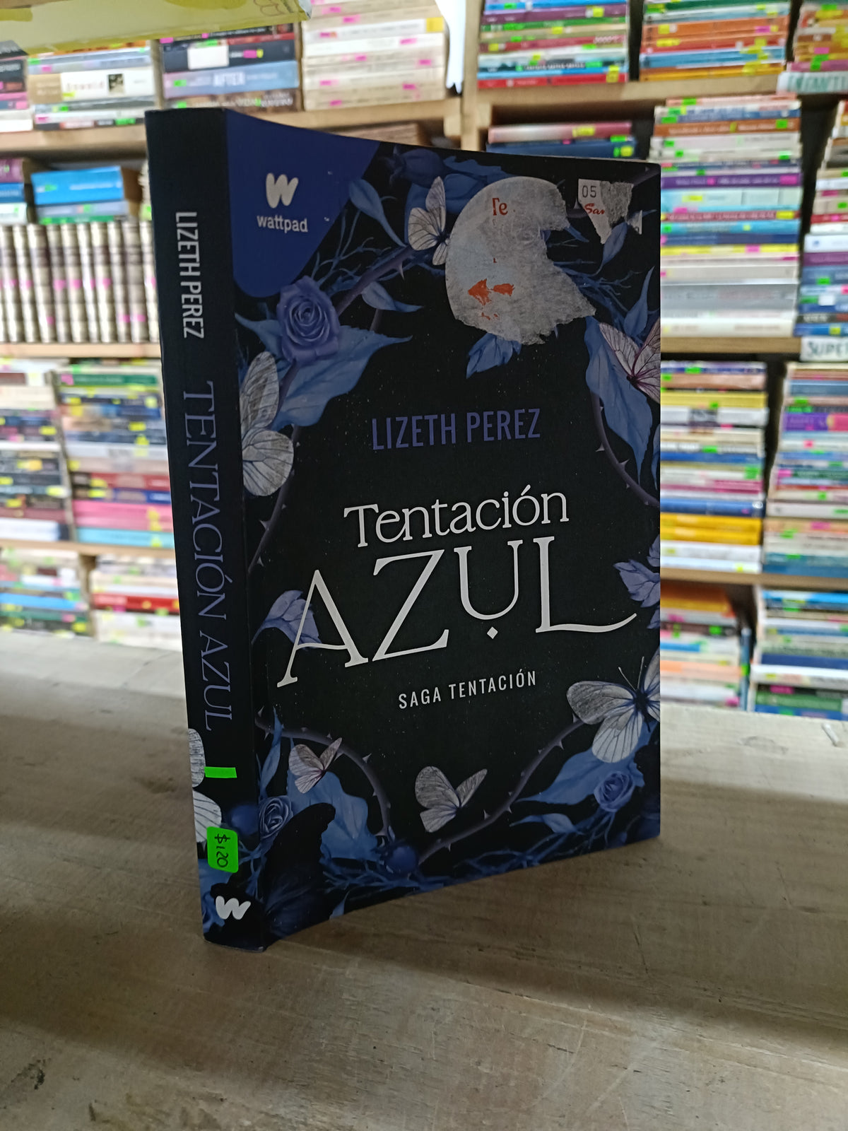 TENTACION AZUL POR LIZETH PEREZ USADO NOVELA LITERARIO 207