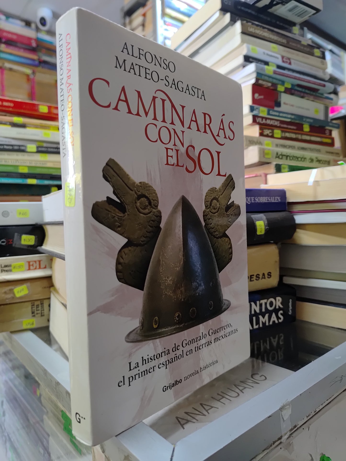 CAMINARAS CON EL SOL POR ALFONSO MATEO SAGASTA USADO HISTORIA JUAREZ 507