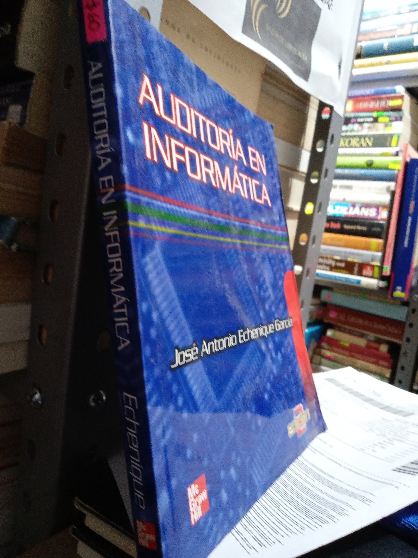 AUDITORIA EN INFORMATICA POR JOSE ANTONIO ECHENIQUE USADO COMPUTACION JUAREZ