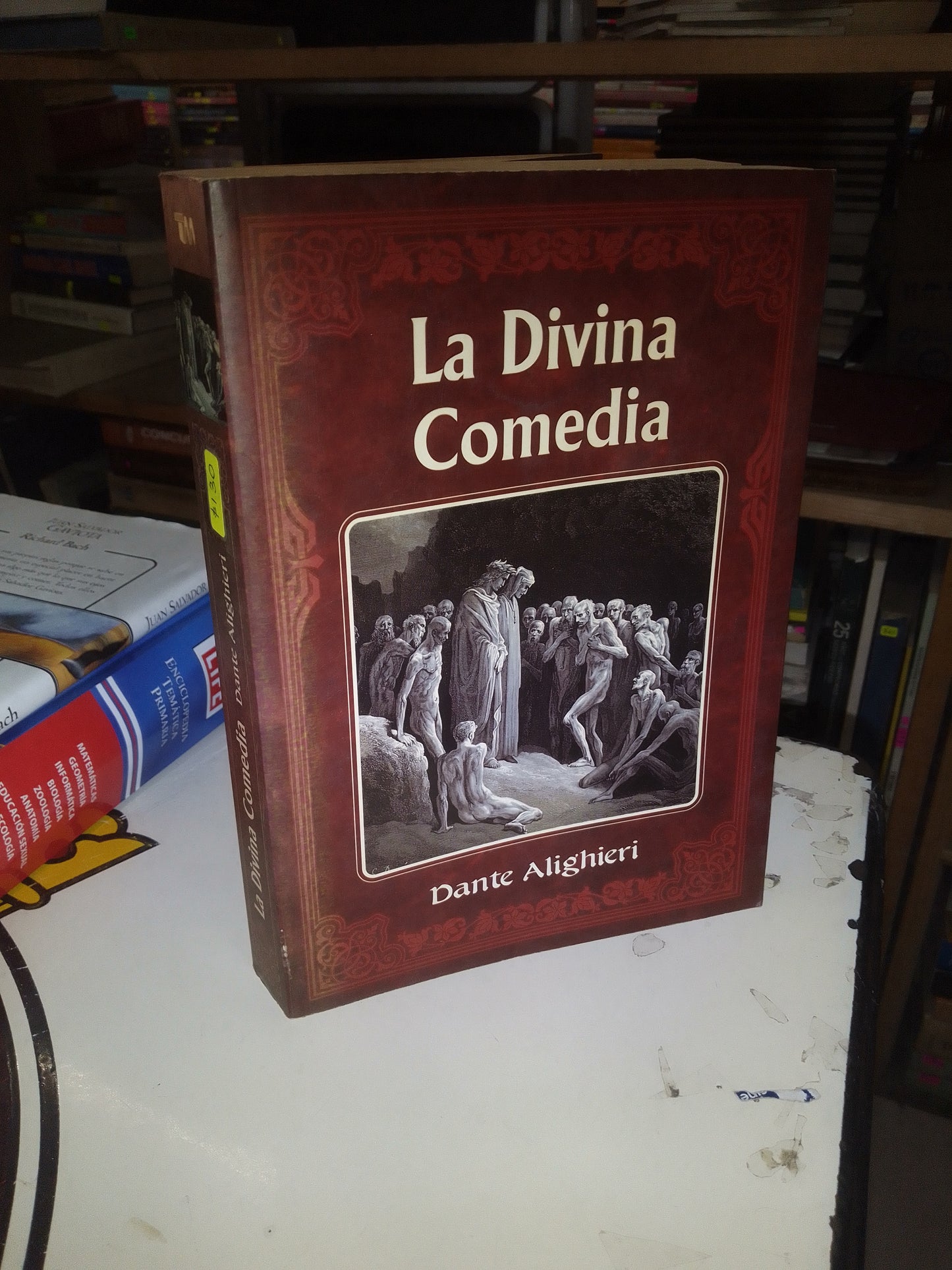 LA DIVINA COMEDIA POR DANTE ALIGHIERI USADO NOVELA LITERARIO 207
