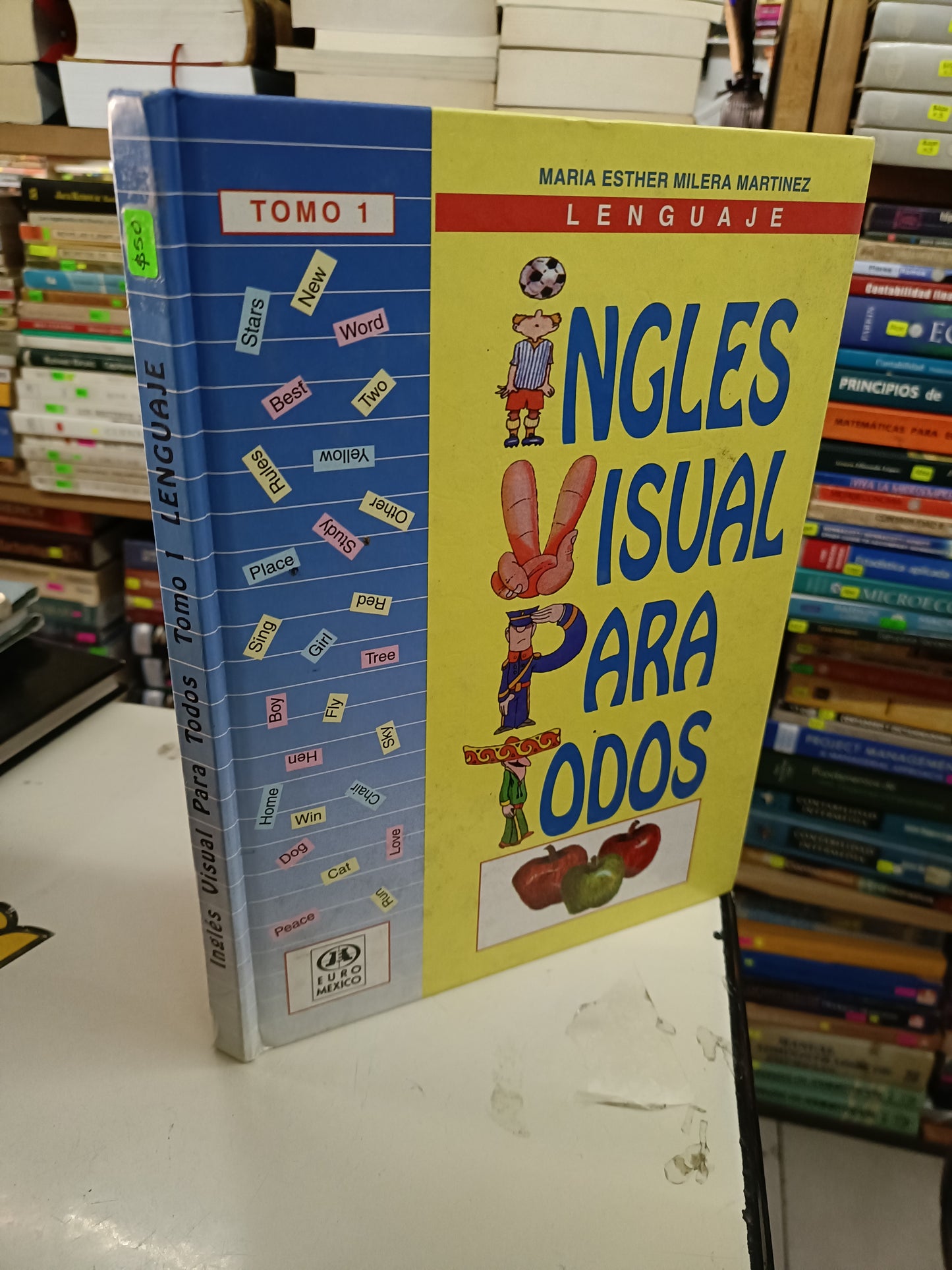 INGLÉS VISUAL PARA TODOS TOMO I LENGUAJE POR MARÍA ESTHER MILERA MARTÍNEZ USADO IDIOMAS LITERARIO 207