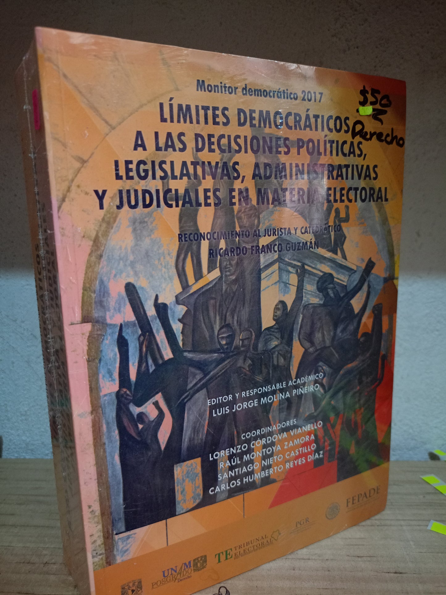 LIMITES DEMOCRATICOS A LAS DECISIONES POLITICAS LEGISLATIVAS ADMINISTRATIVAS Y JUDICIALES EN MATERIA ELECTORIAL NUEVO DERECHO LITERARIO 305