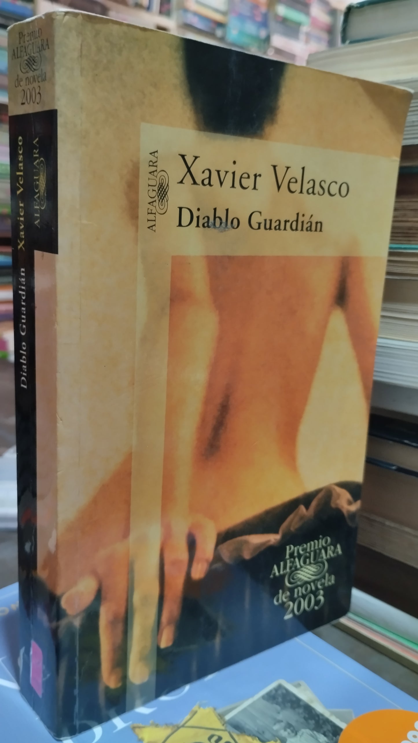 DIABLO GUARDIAN POR XAVIER VELASCO LIBRO USADO NOVELAS ALDAMA