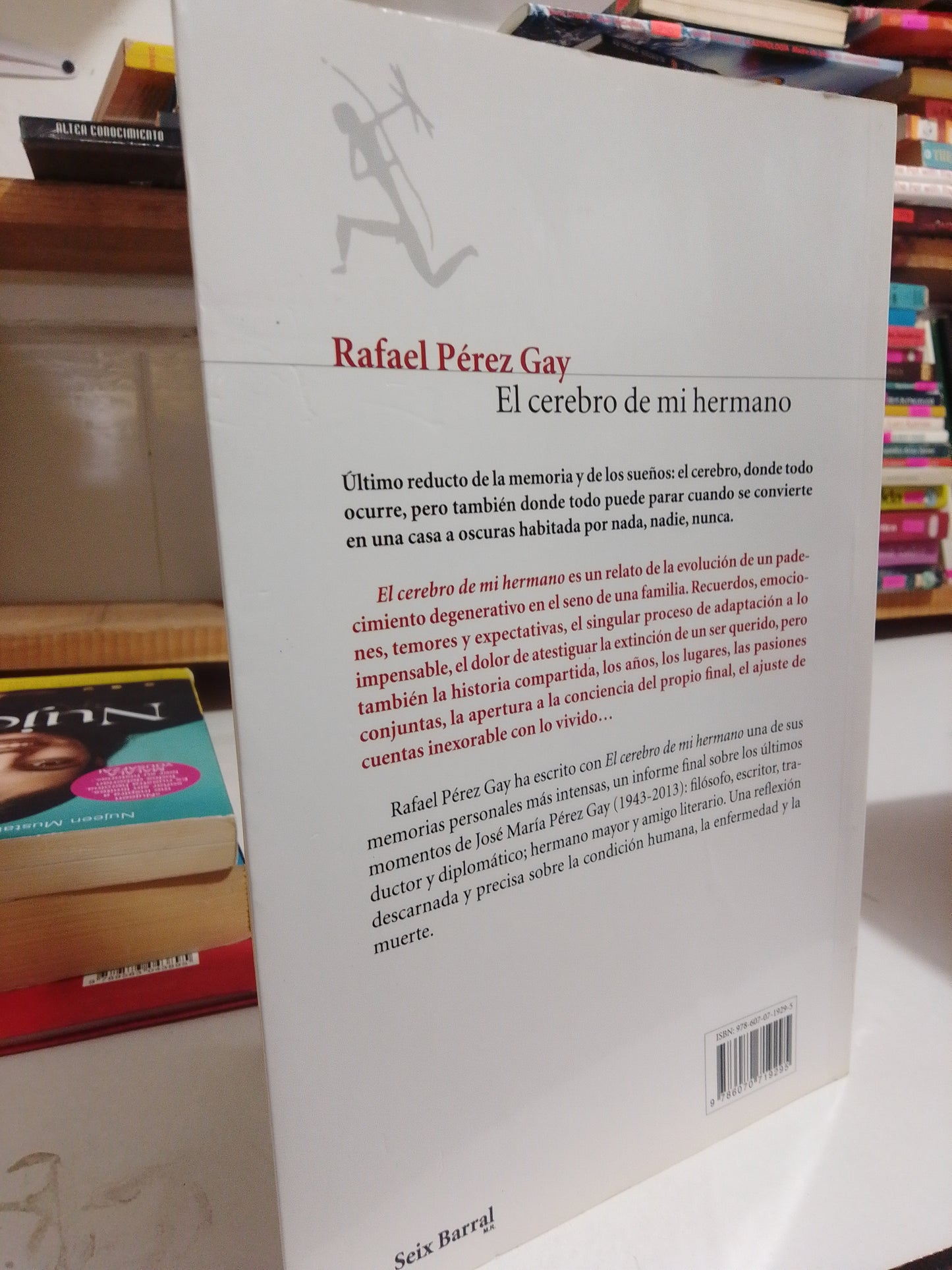 EL CEREBRO DE MI HERMANO POR RAFAEL PEREZ GAY USADO NOVELA JUÁREZ
