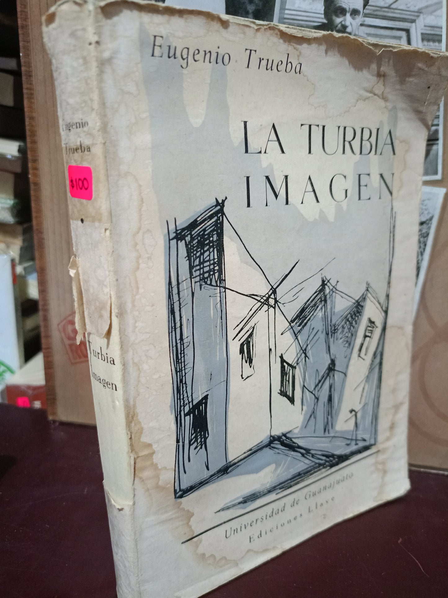 LA TURBIA IMAGEN EUGENIO TRUEBA USADO NOVELA LITERARIO 305