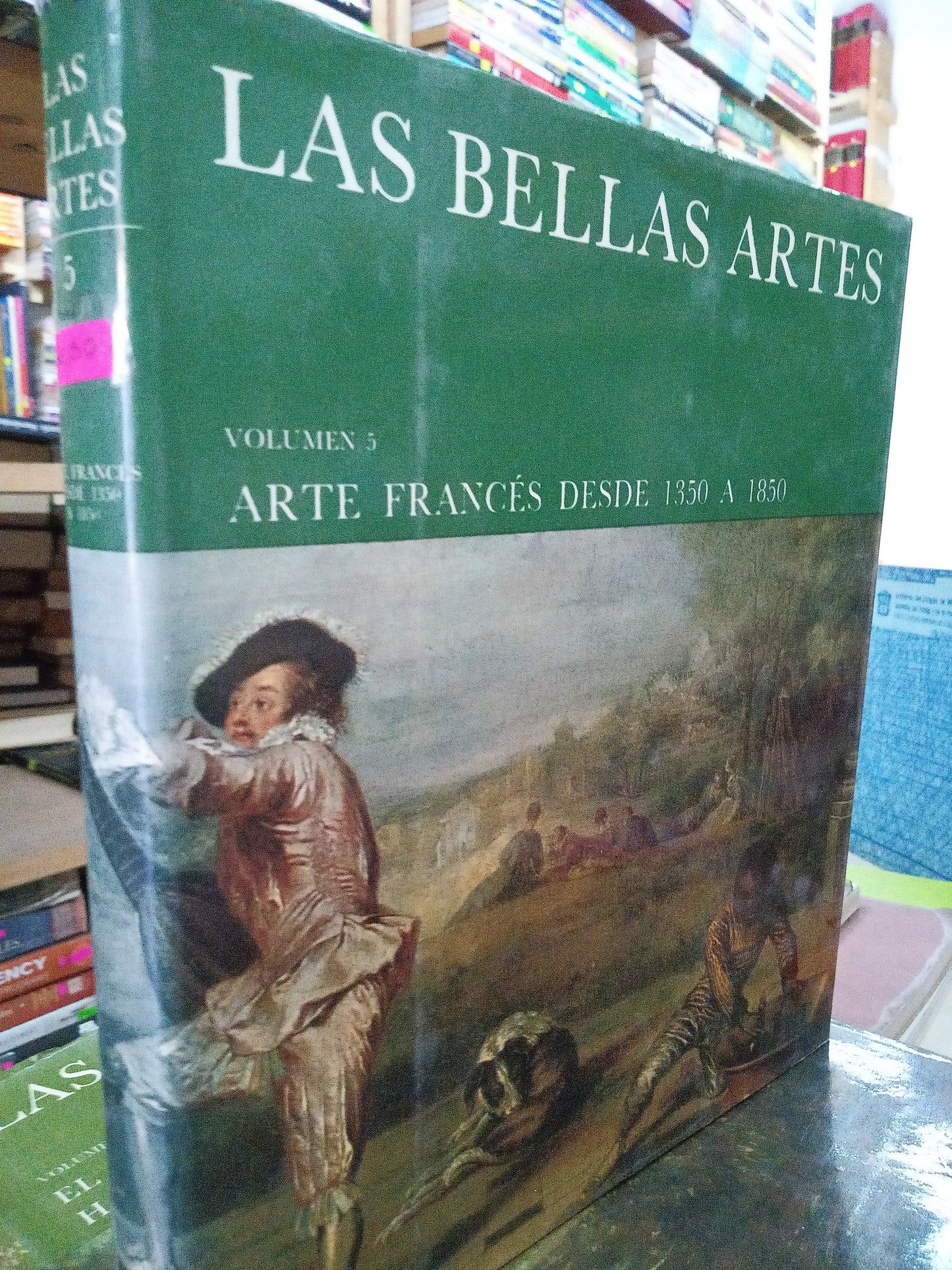 ARTE FRANCES DESDE 1350 A 1850 5 USADO ARTE LITERARIO 207