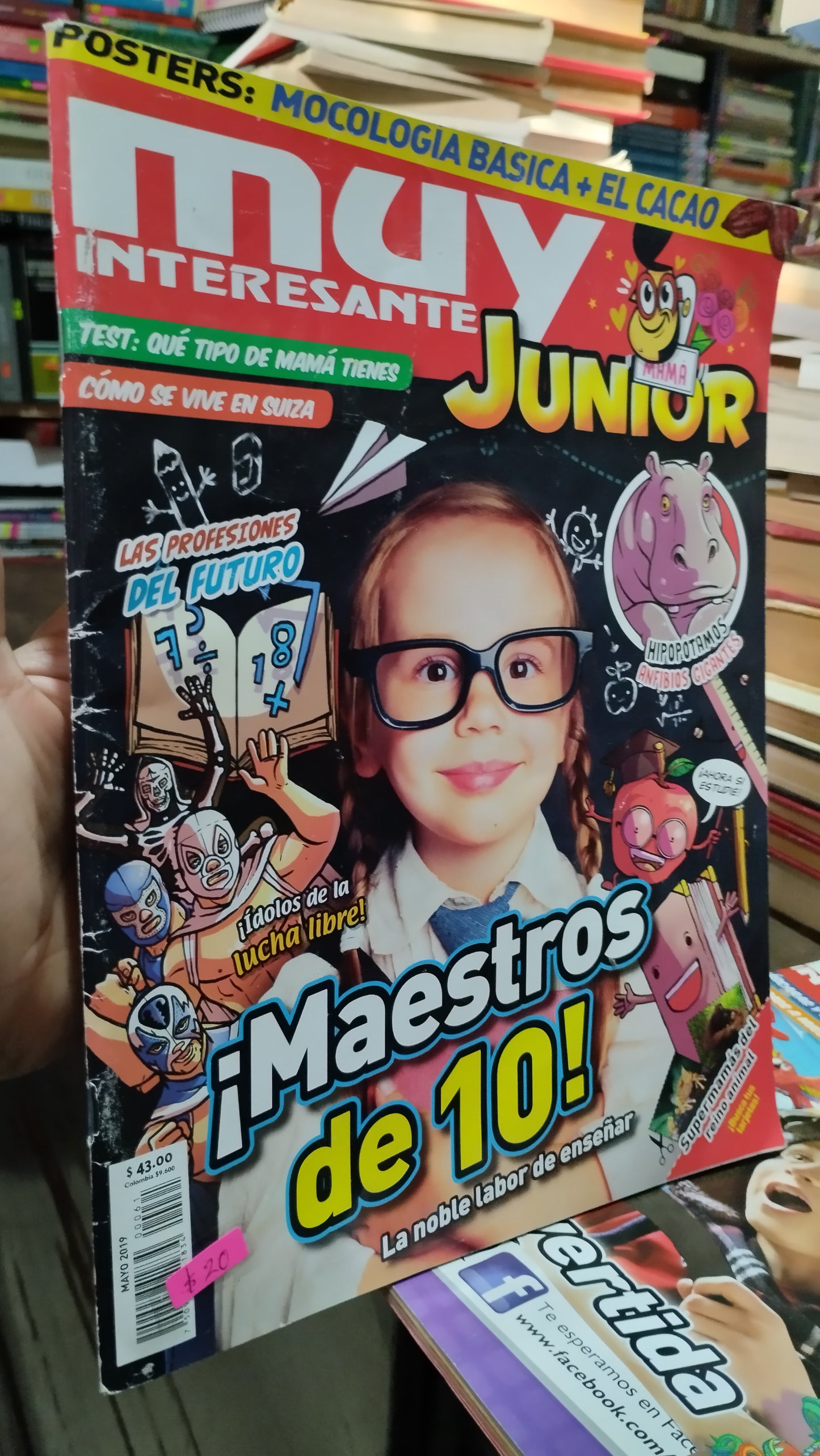 MAESTROS DE 10 LIBRO USADO INFANTIL ALDAMA