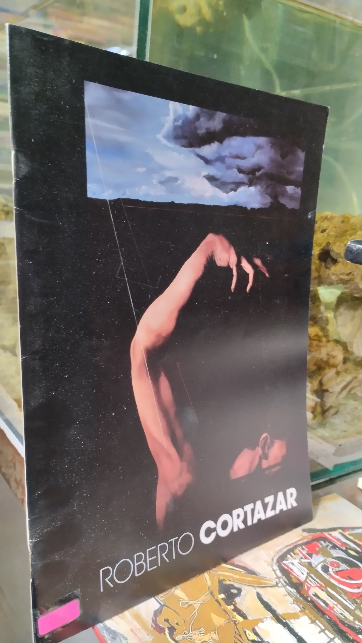 ROBERTO CORTAZAR LIBRO USADO ARTE ALDAMA