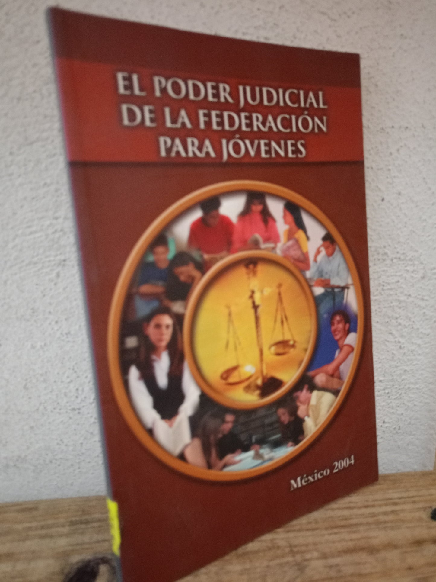 EL PODER JUDICIAL DE LA FEDERACION PARA JOVENES USADO DERECHO LITERARIO 305