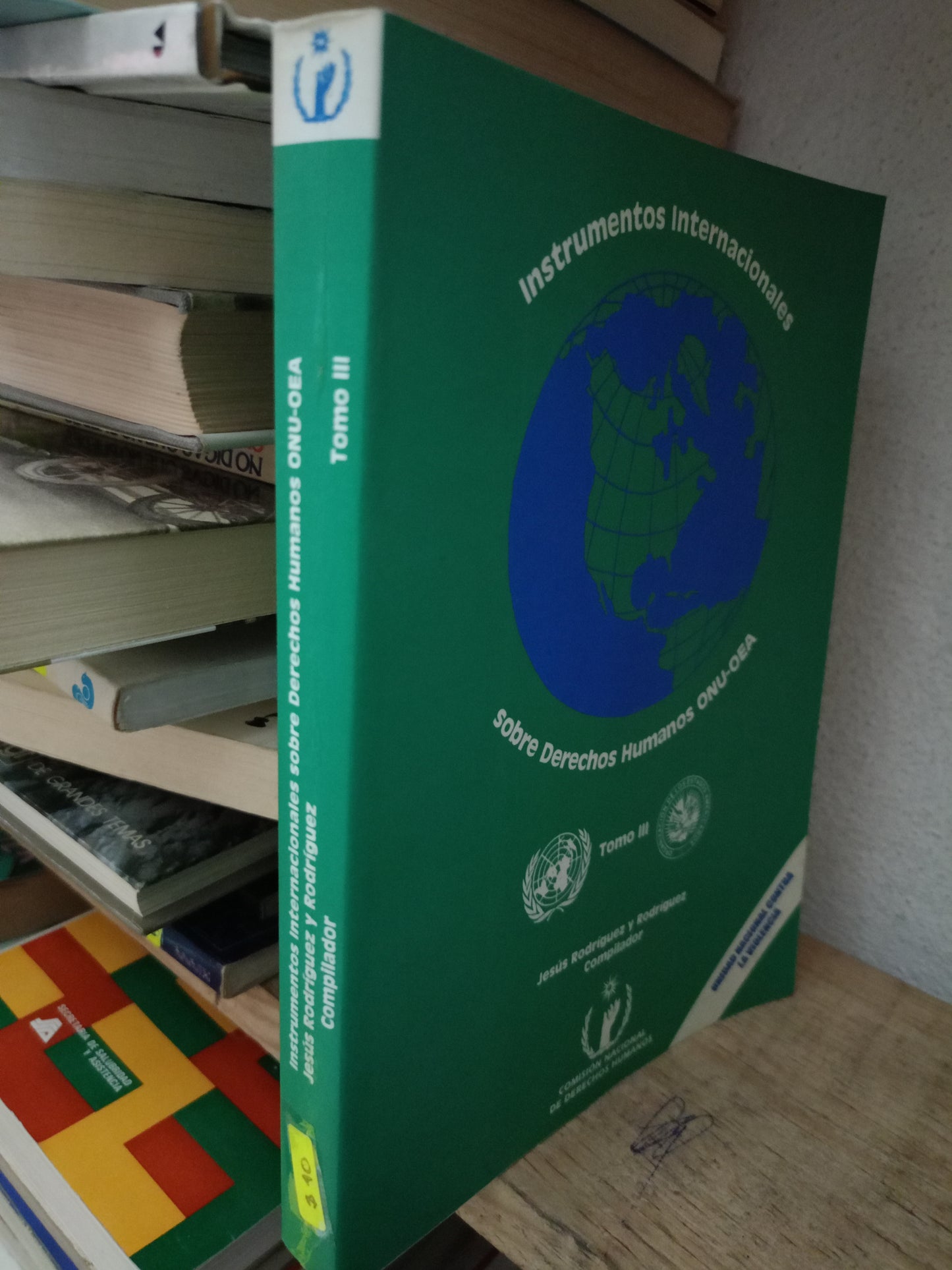 INSTRUMENTOS INTERNACIONALES SOBRE DERECHOS HUMANOS POT JESUS RODRÍGUEZ Y RODRIGUEZ USADO DERECHO LITERARIO 305