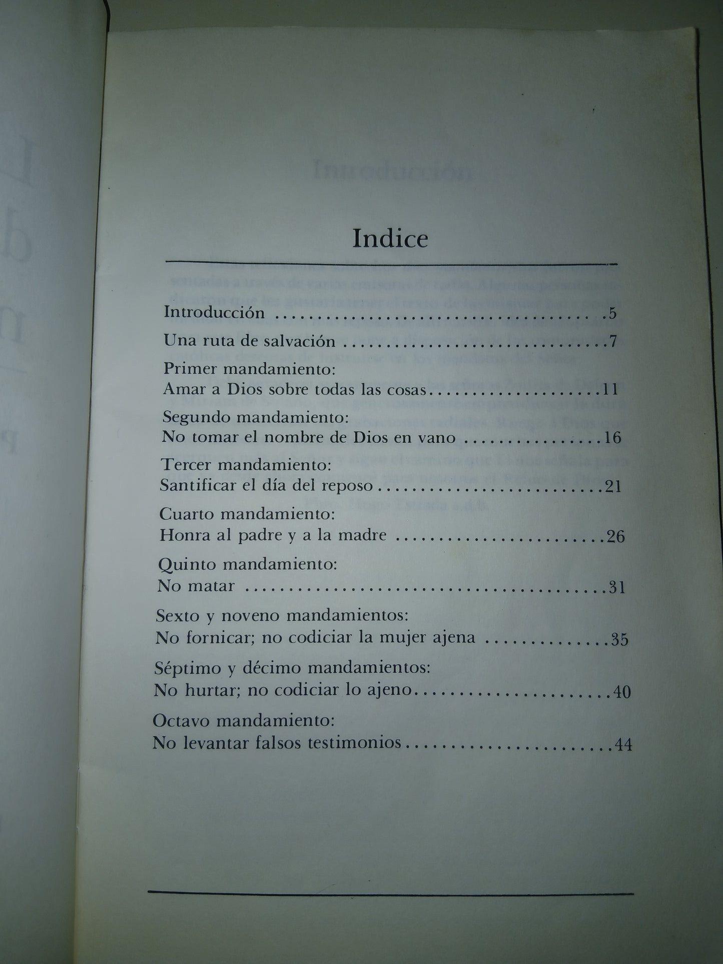 LOS DIEZ MANDAMIENTOS POR HUGO ESTRADA USADO RELIGIÓN LITERARIO 207