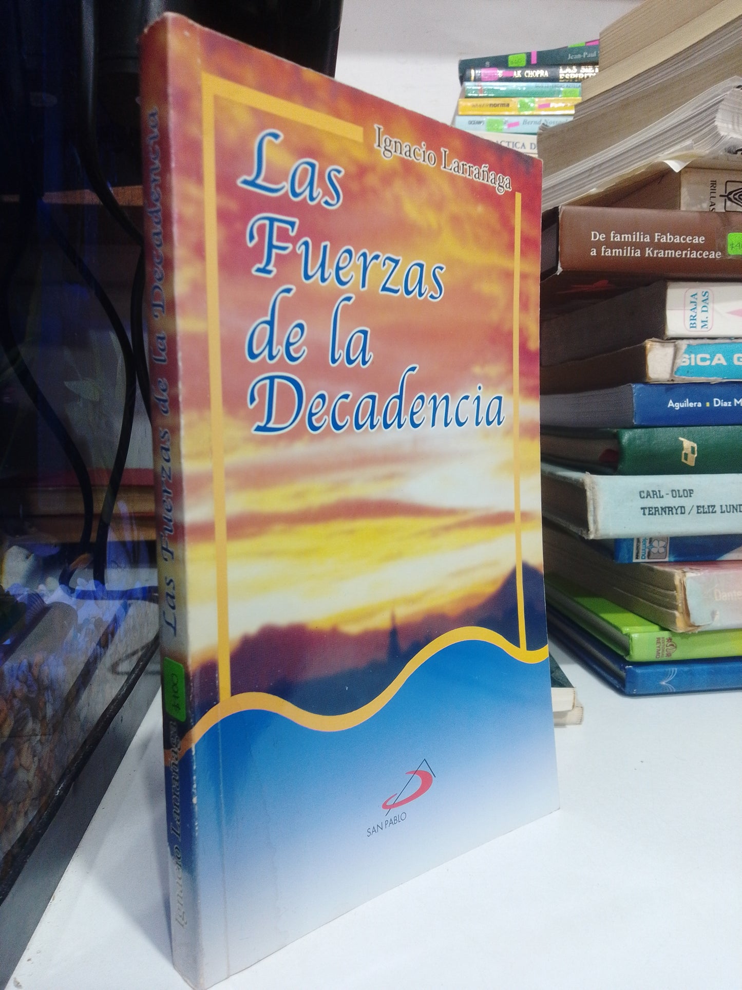 LAS FUERZAS DE LA DECADENCIA POR IGNACIO LARRAÑAGA USADO RELIGION JUAREZ