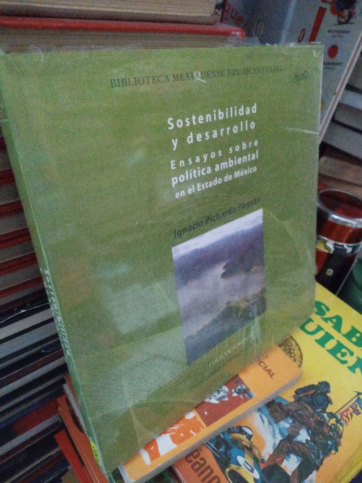 SOSTENIBILIDAD Y DESARROLLO ENSAYOS SOBRE POLITICA AMBIENTAL EN EL ESTADO DE MEXICO POR IGNACIO PICHARDO PAGAZE USADO DERECHO JUÁREZ