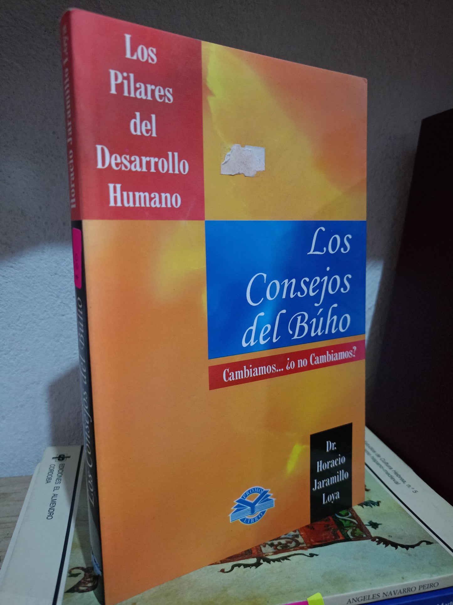 LOS CONSEJOS DEL BUHO POR HORACIO JARAMILLO LOYA USADOS.PERSONAL LITERARIO 305
