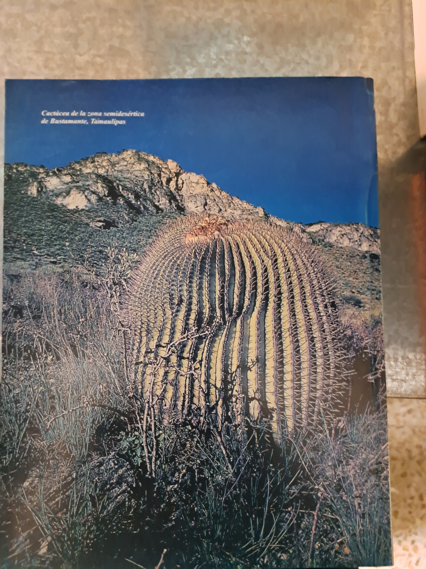 XXII CONGRESO MASÓNICO NACIONAL DE GRADOS FILOSÓFICOS MEMORIA GOBIERNO DEL ESTADO DE TAMAULIPAS USADO MASONERÍA ALDAMA