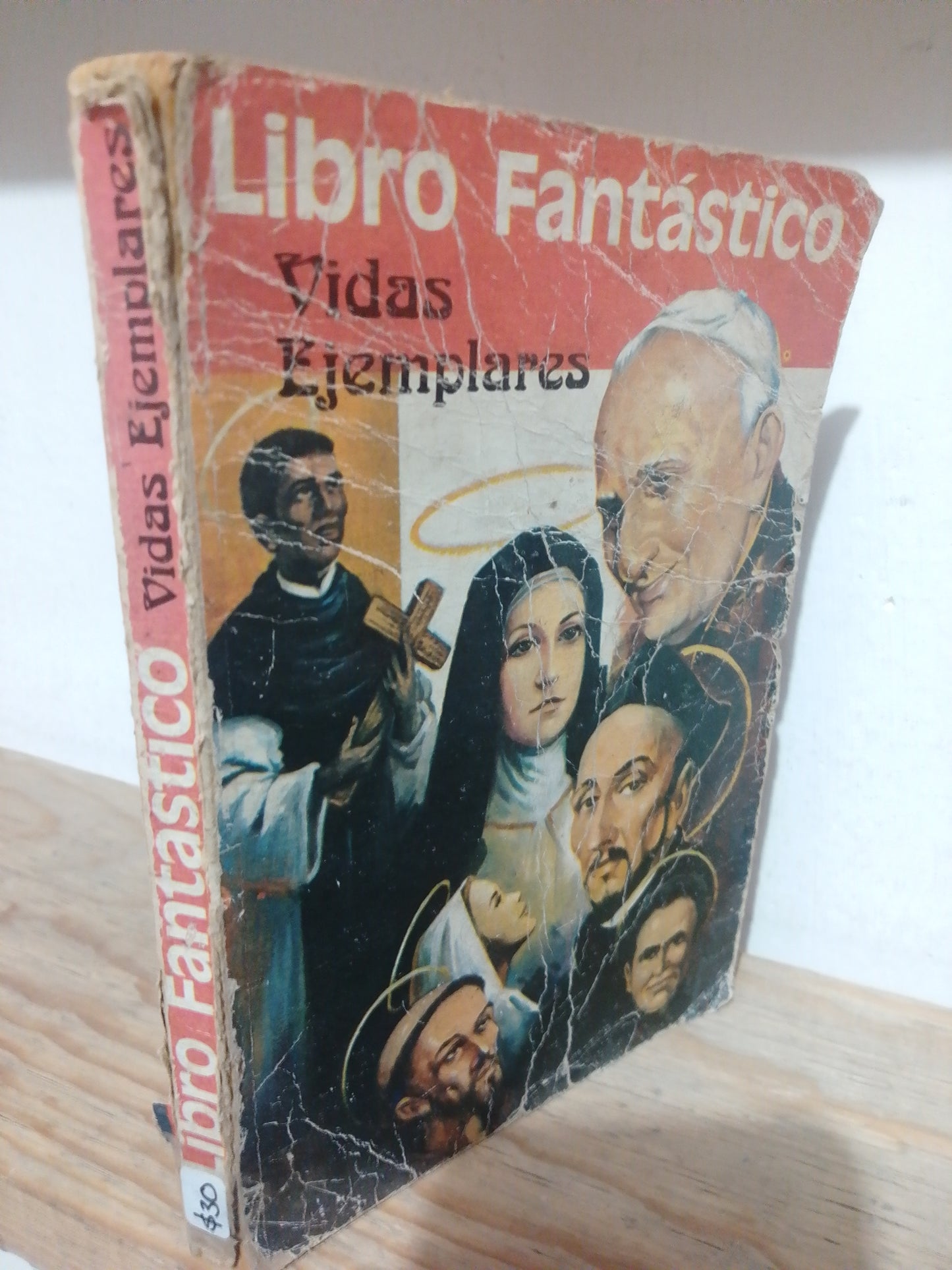 LIBRO FANTASTICO VIDAS EJEMPLARES USADO RELIGION JUAREZ