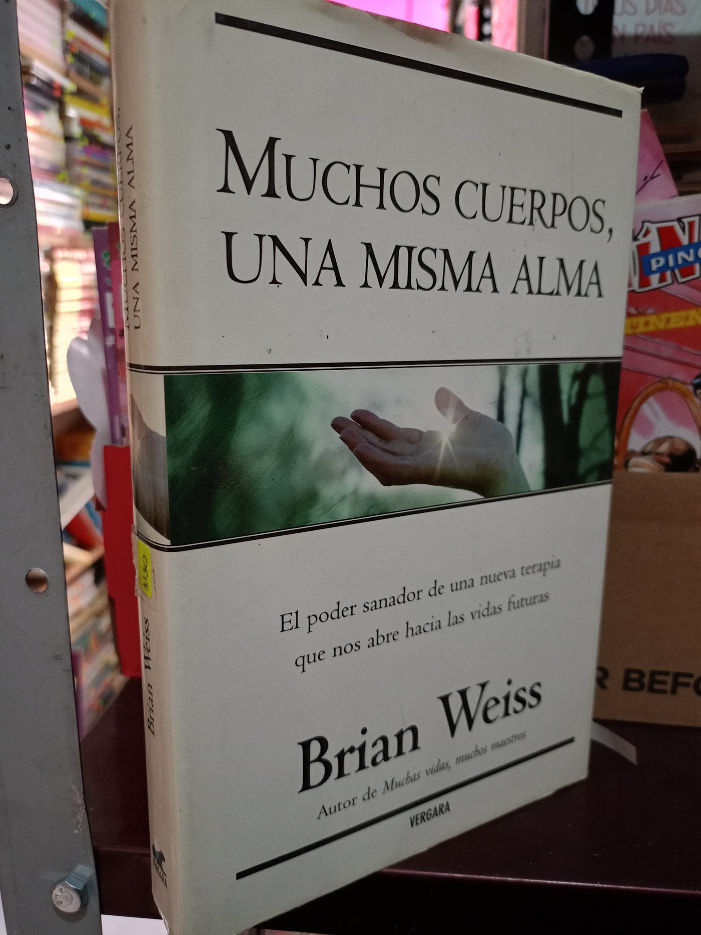 MUCHOS CUERPOS UNA MISMA ALMA USADO S.PERSONAL LITERARIO 305