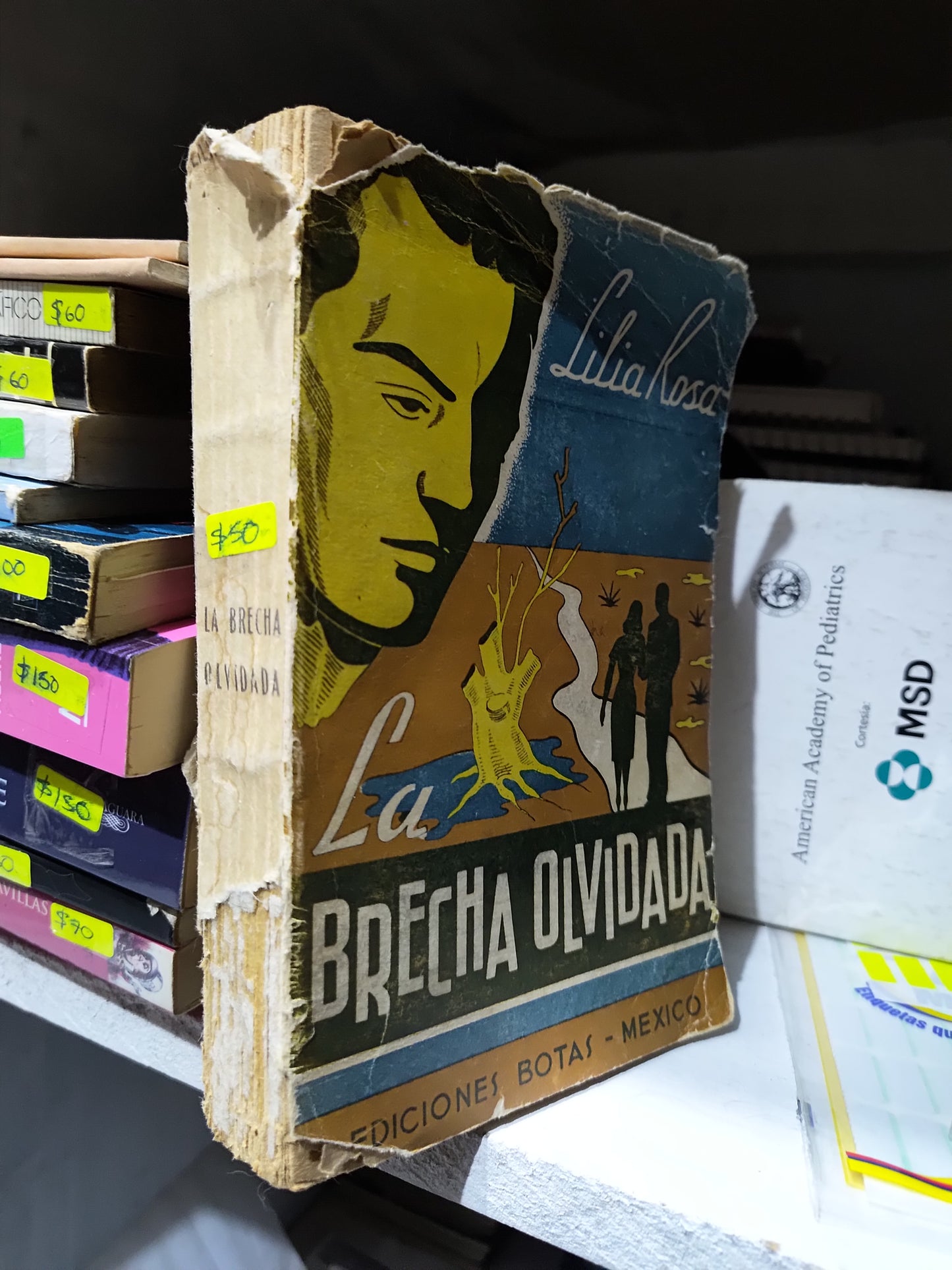 LA BRECHA OLVIDADA POR LILIA ROSA USADO NOVELAS JUAREZ