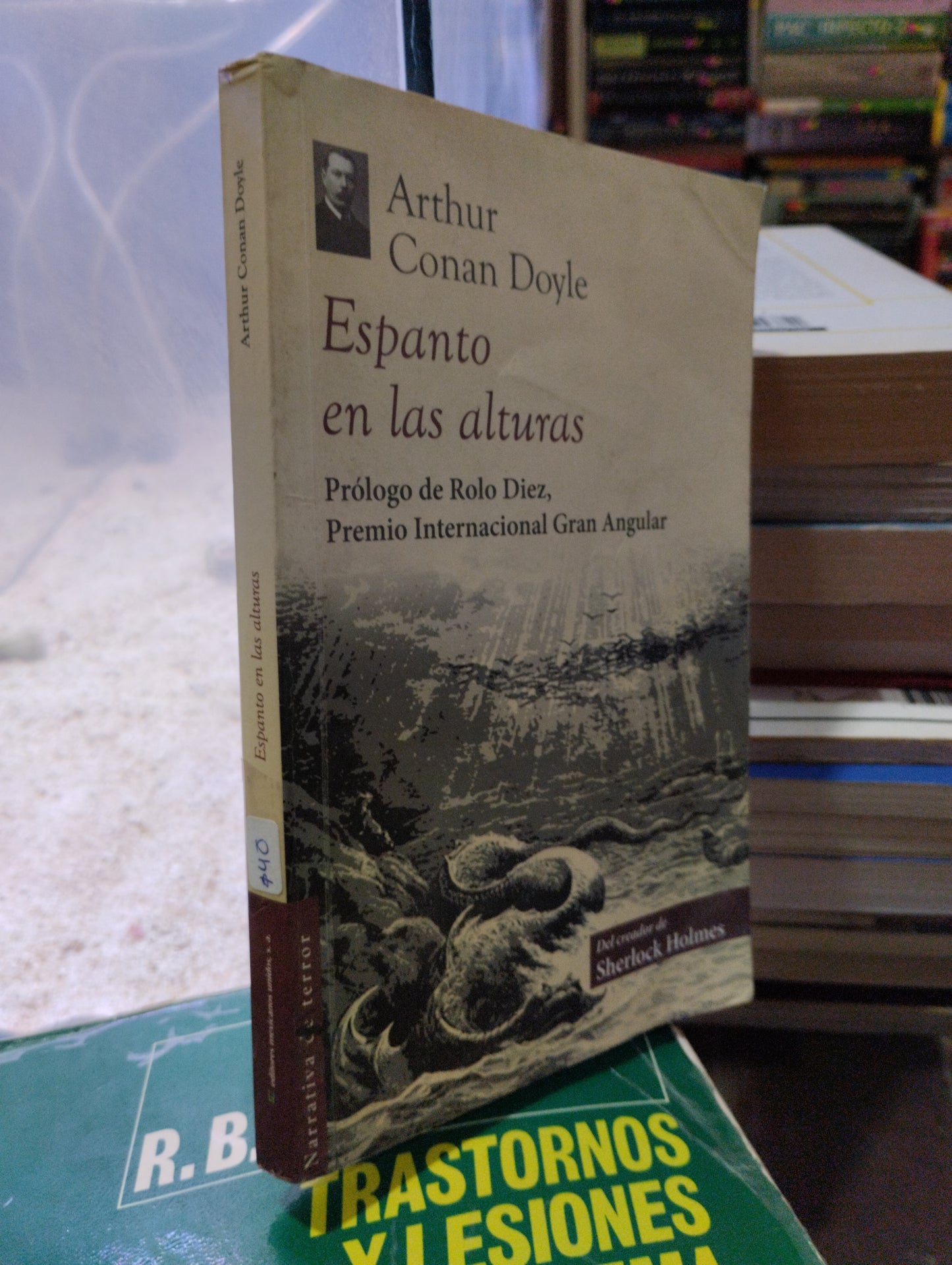 ESPANTO EN LAS ALTURAS POR ARTHUR CONAN DOYLE USADO INFANTIL ALDAMA