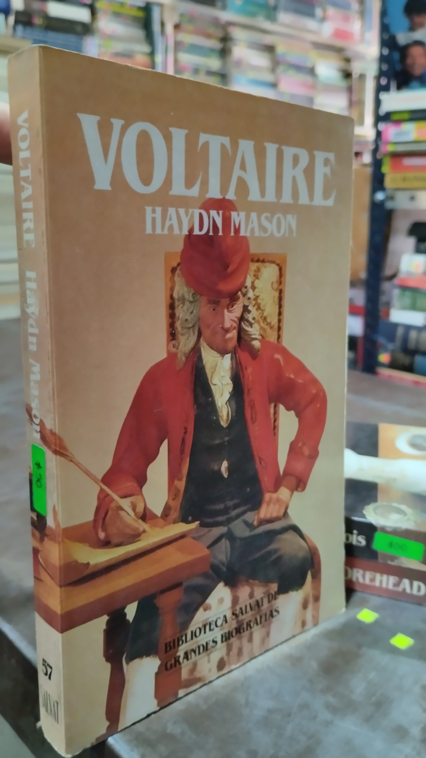 VOLTAIRE POR HAYDN MASON LIBRO USADO HISTORIA ALDAMA