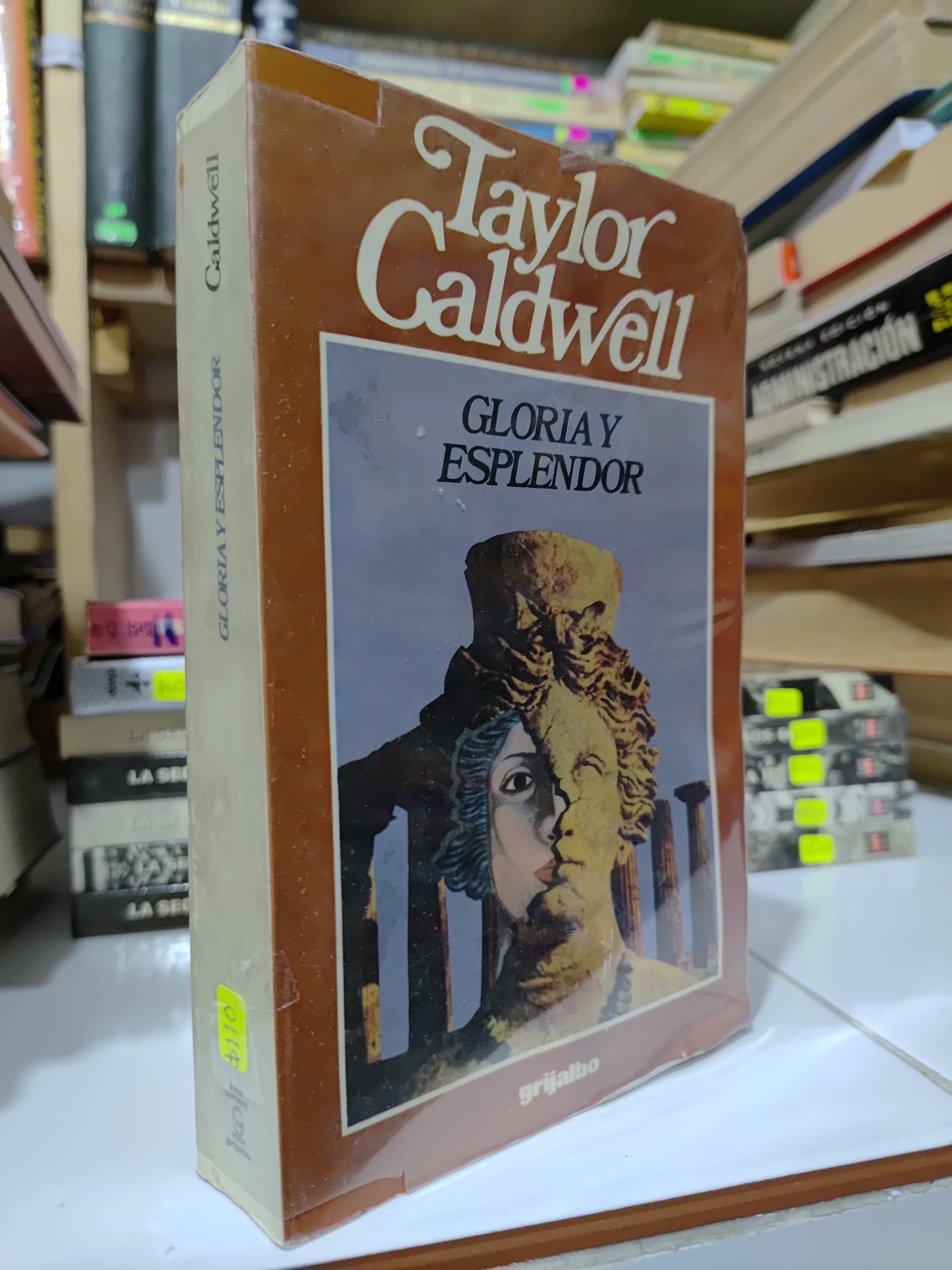 GLORIA Y ESPLENDOR POR TAYLOR GALDWELL USADO NOVELAS JUAREZ 507