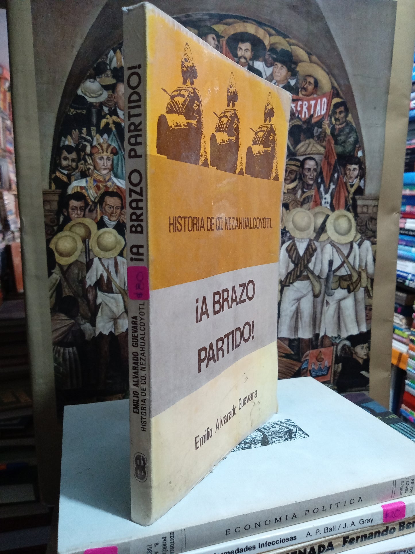 A BRAZO PARTIDO POR EMILIO ALVARADO GUEVARA USADO HISTORIA JUAREZ