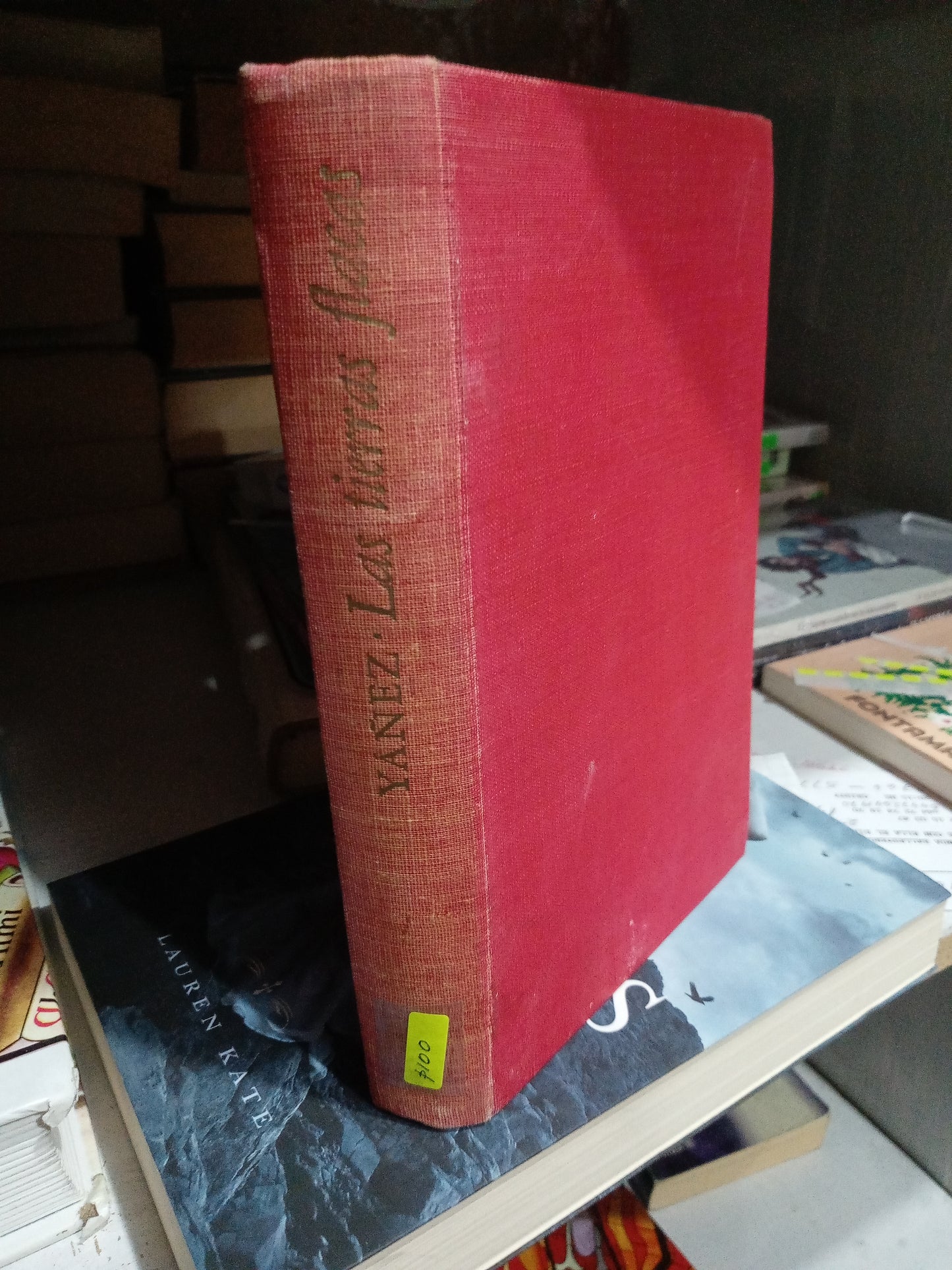 LAS TIERRAS FLACAS POR AUSTIN YAÑEZ USADO NOVELA JUAREZ