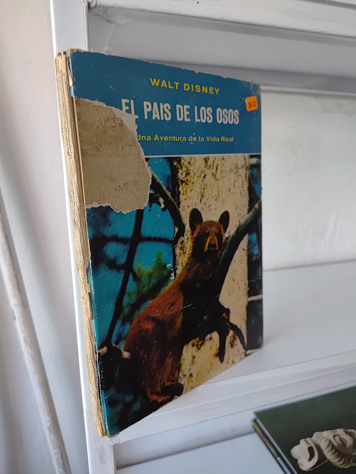 EL PAIS DE LOS OSOS POR EDITORIAL FERNANDEZ USADO BIOLOGIA JUAREZ 515